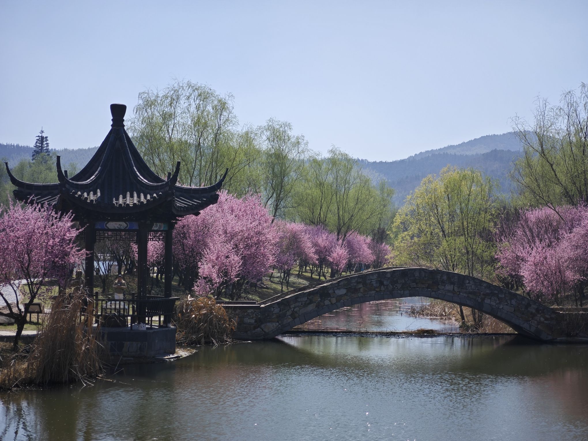 石塘人家旅行图片 3