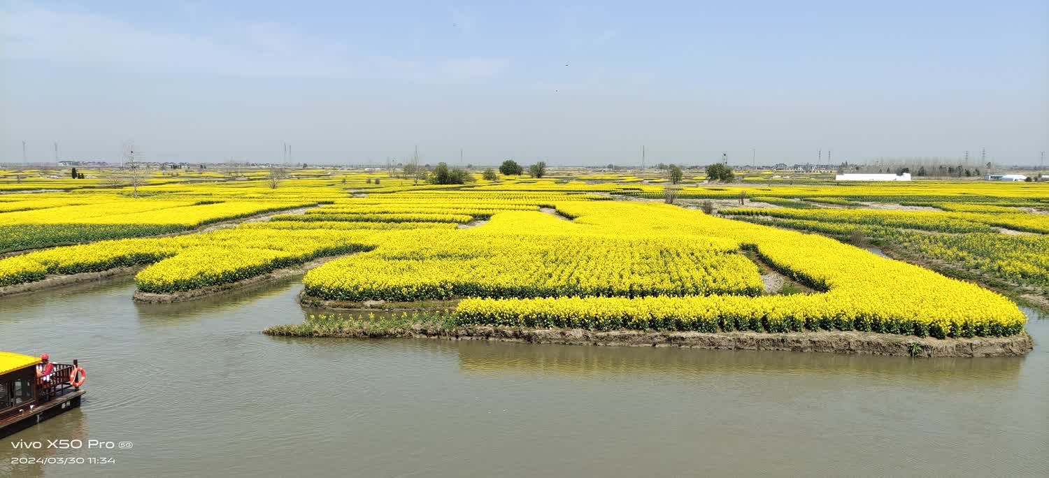 千垛景区旅行图片 1