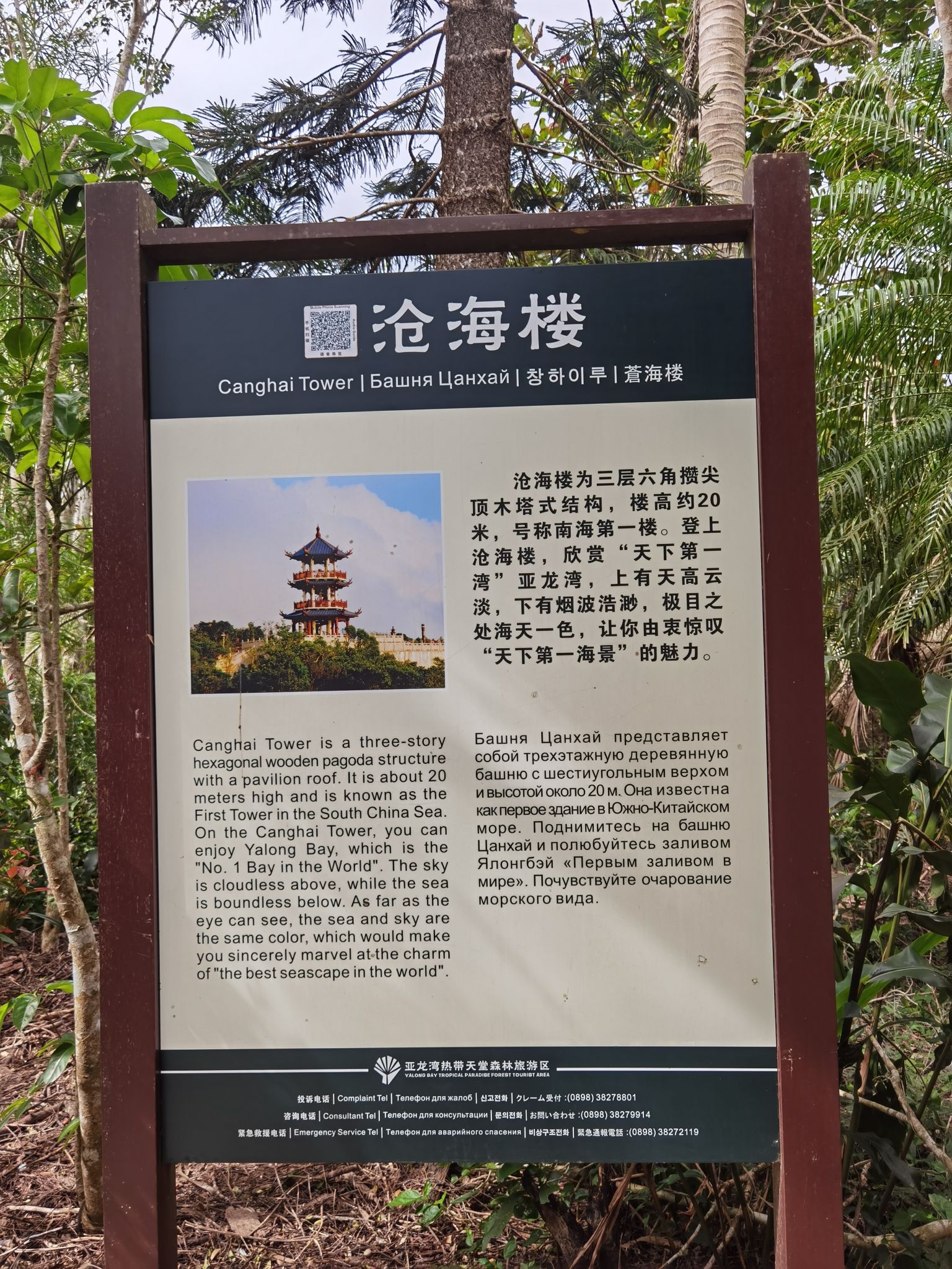 亚龙湾热带天堂森林公园-沧海楼
