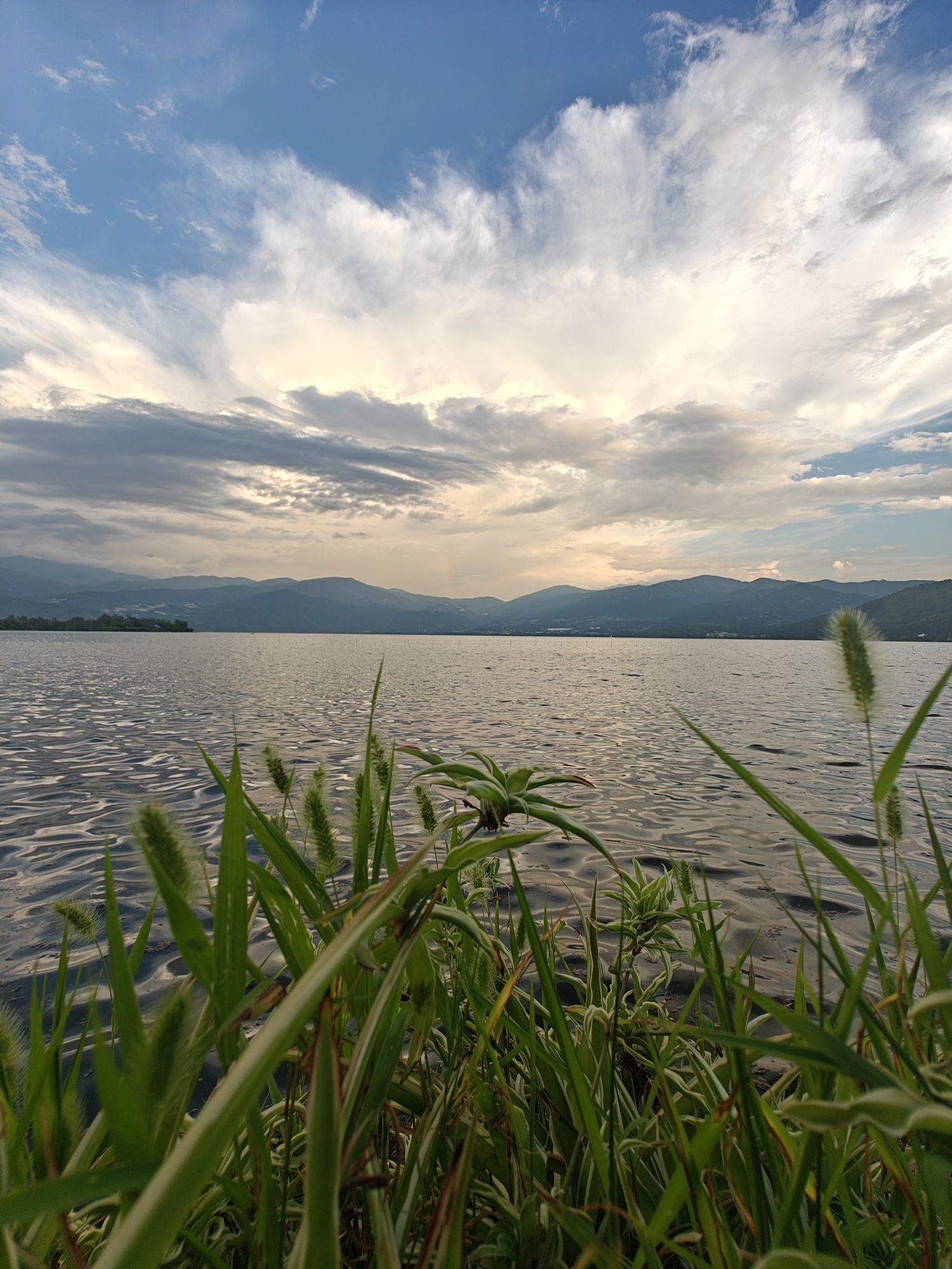 梦里水乡湿地公园旅行图片 3