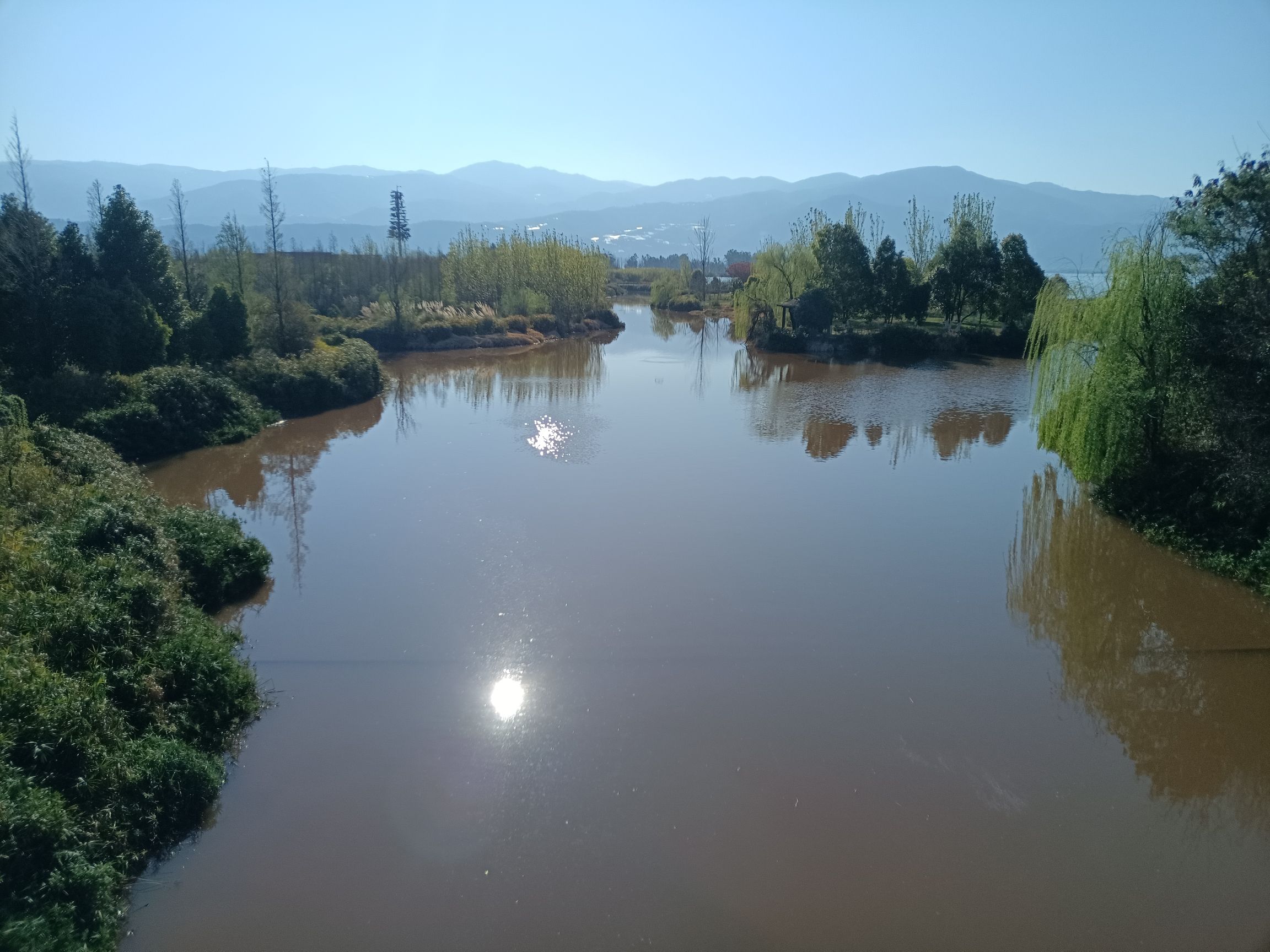 梦里水乡湿地公园旅行图片 2