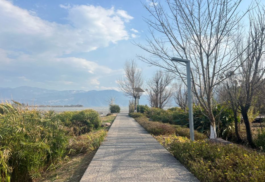 梦里水乡湿地公园
