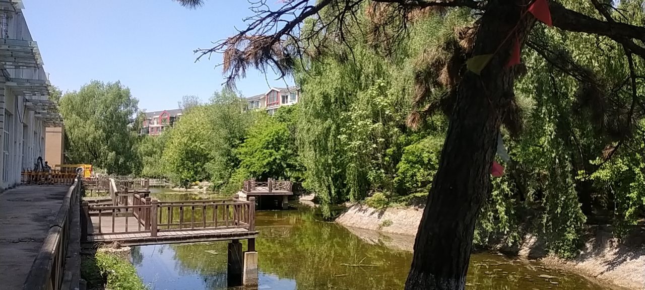 香格里拉梦公园旅行图片 3