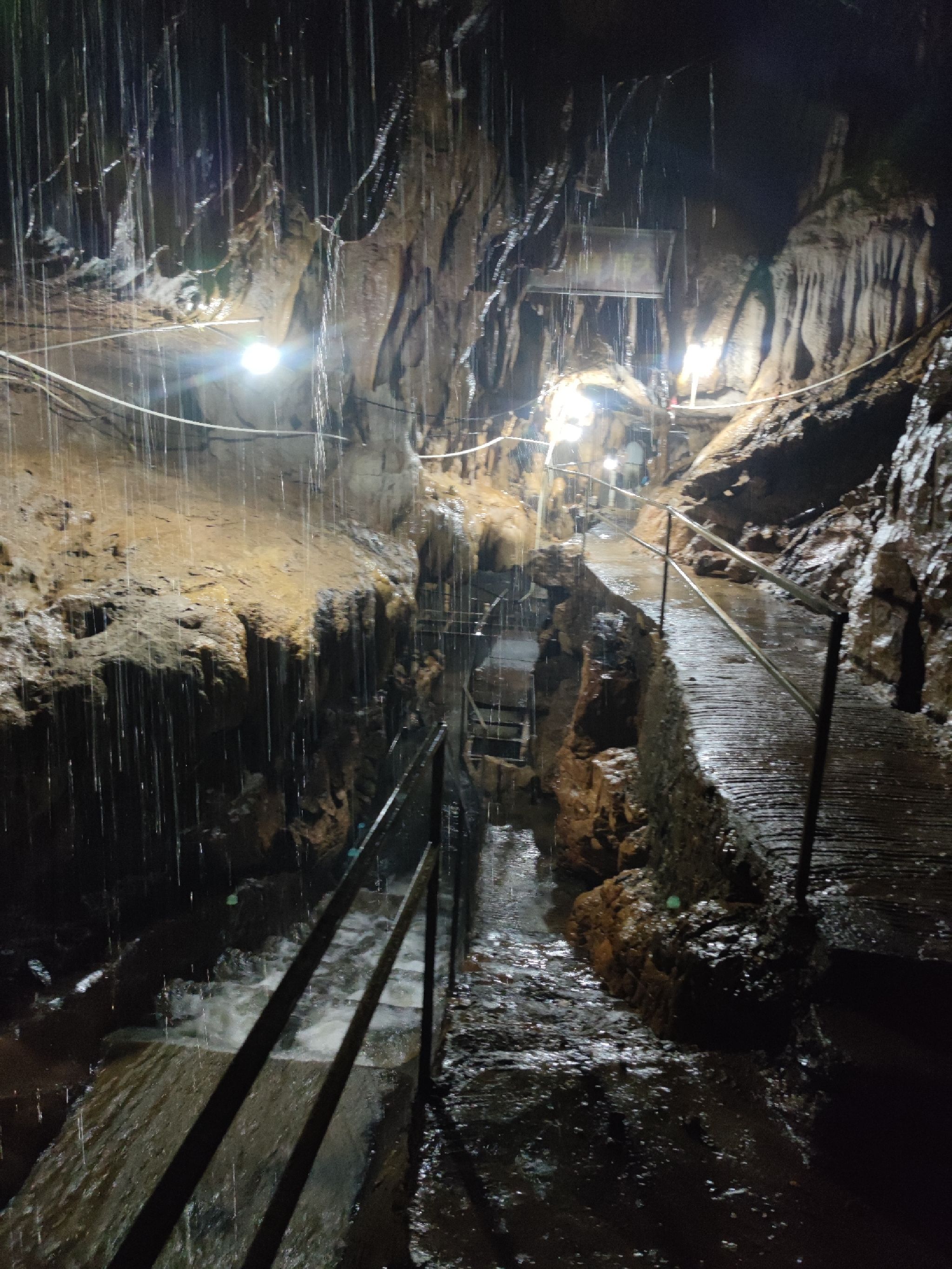 大云雾山旅游区旅行图片 2