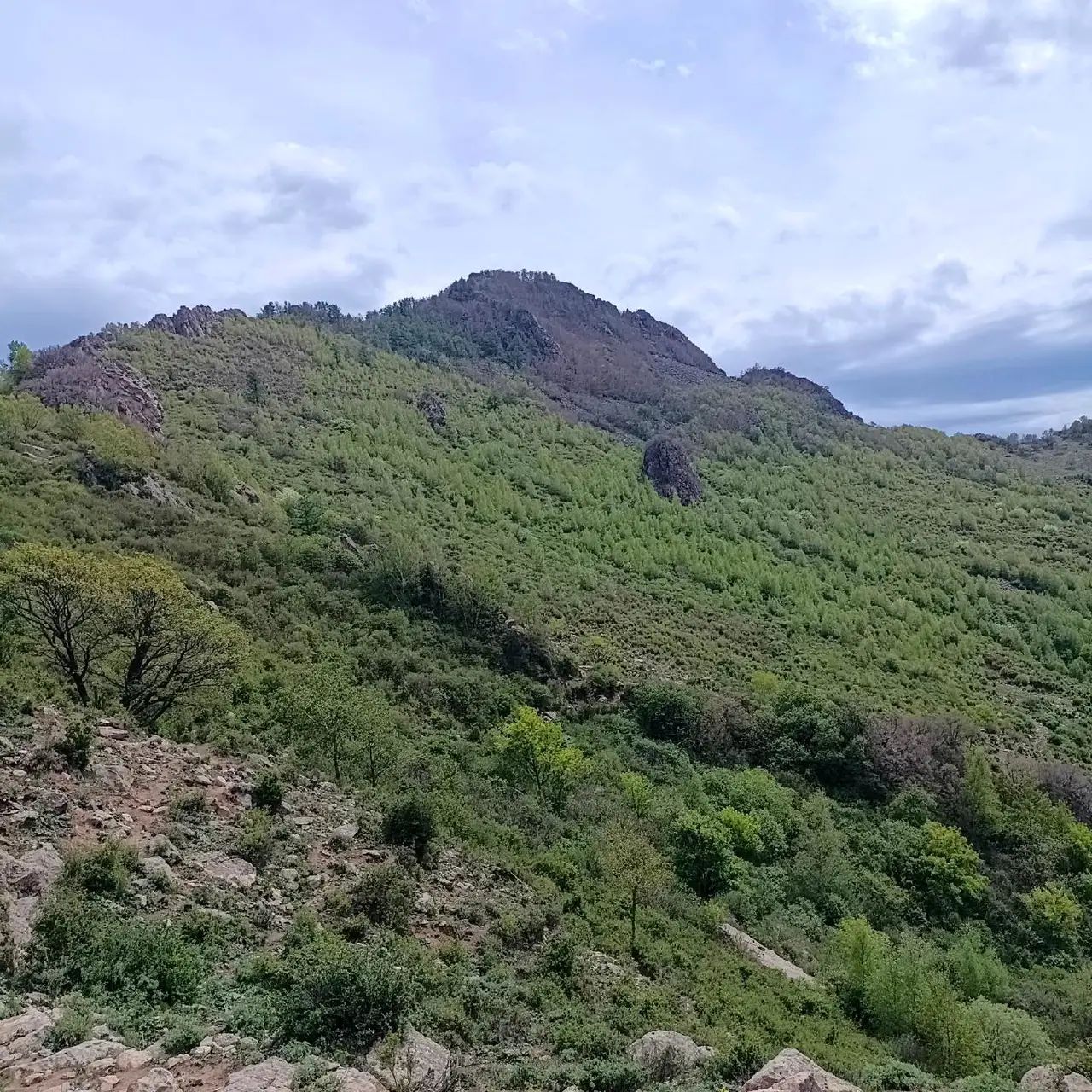 大云雾山旅游区旅行图片 3
