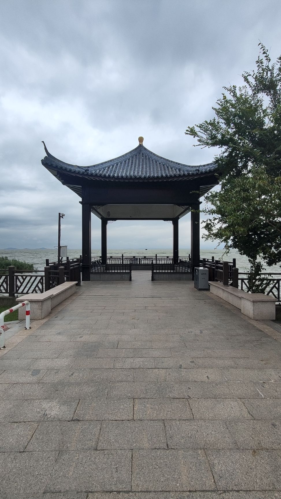东山湿地旅行图片 1