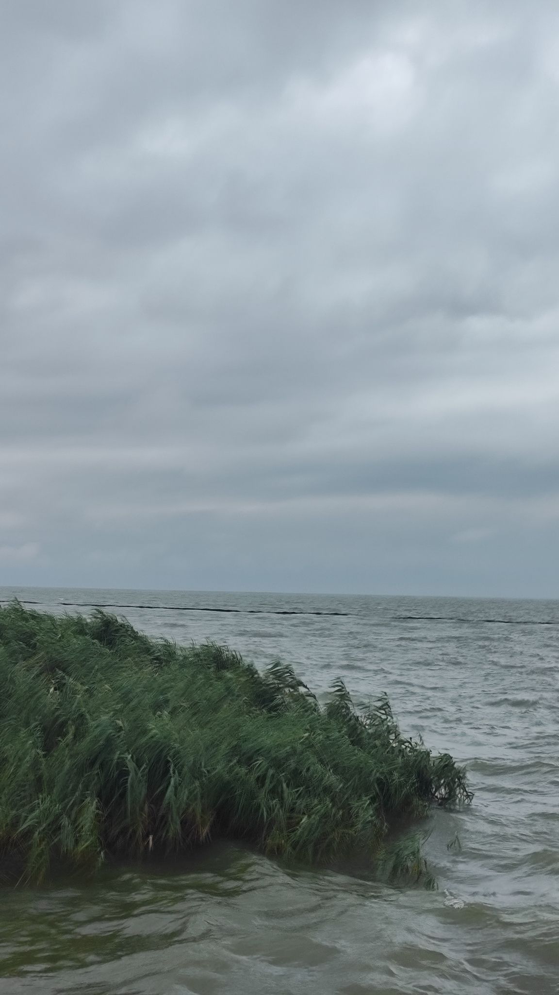 东山湿地旅行图片 3