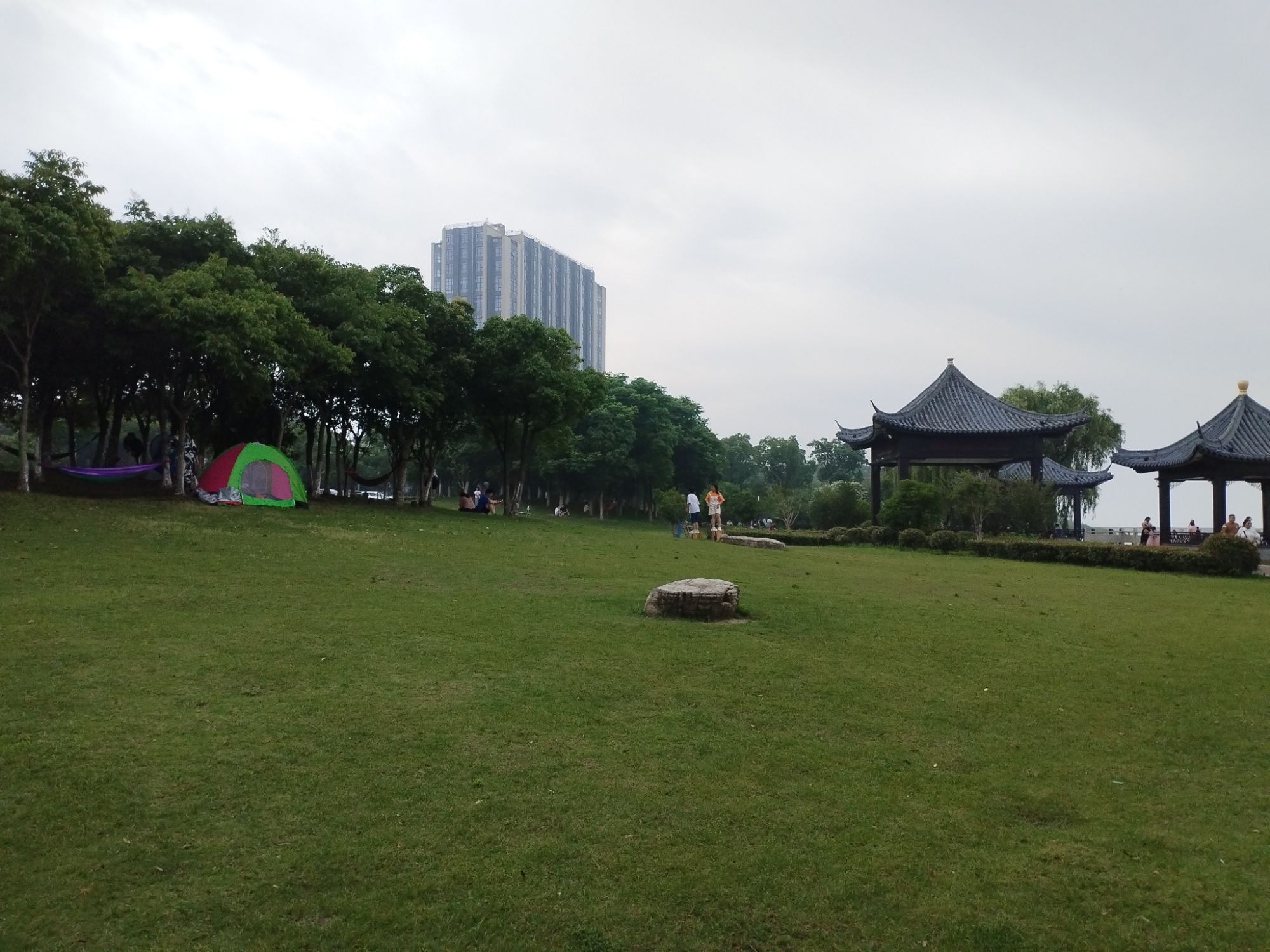 东山湿地旅行图片 1