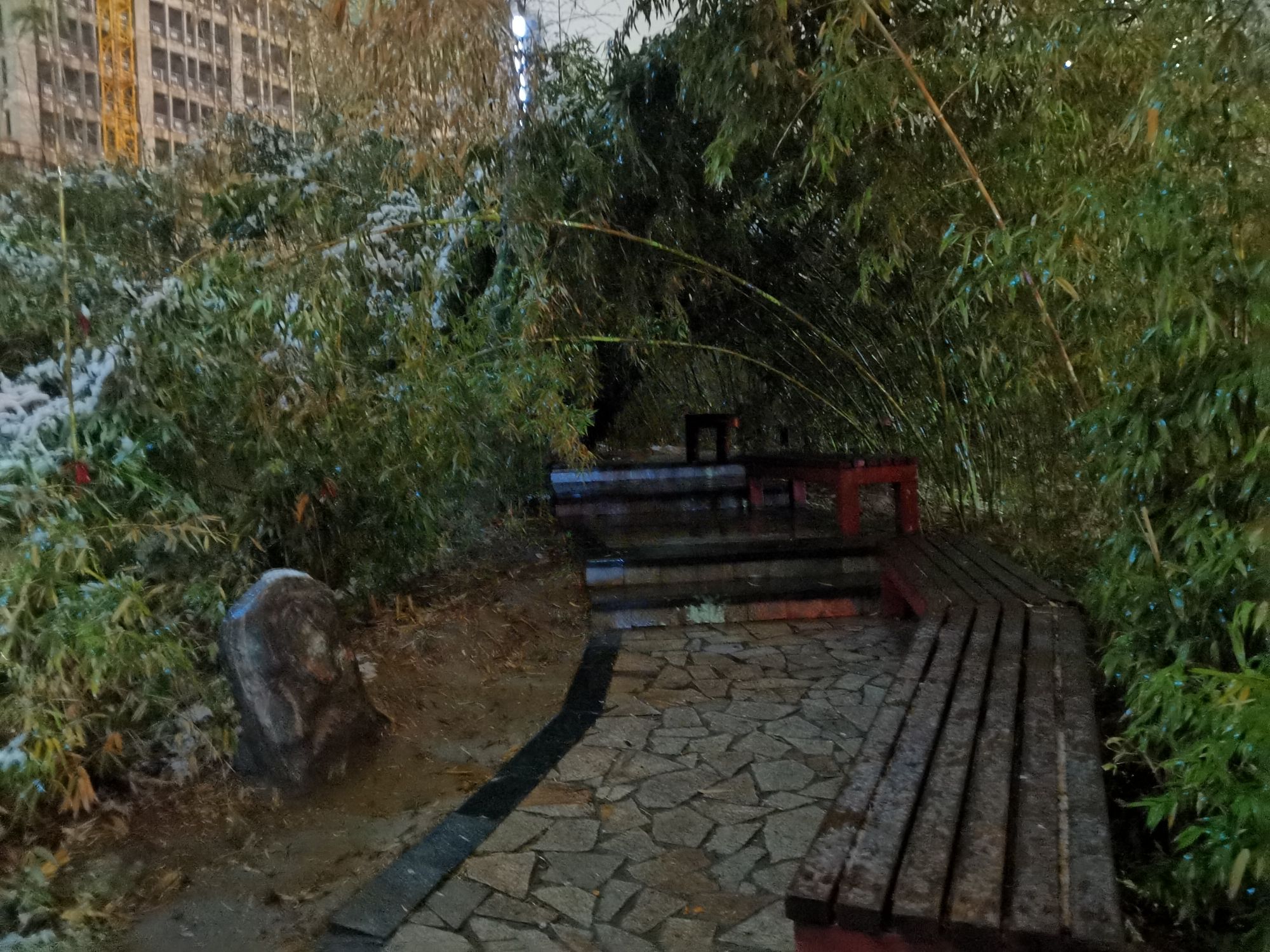 净秀公园旅行图片 3