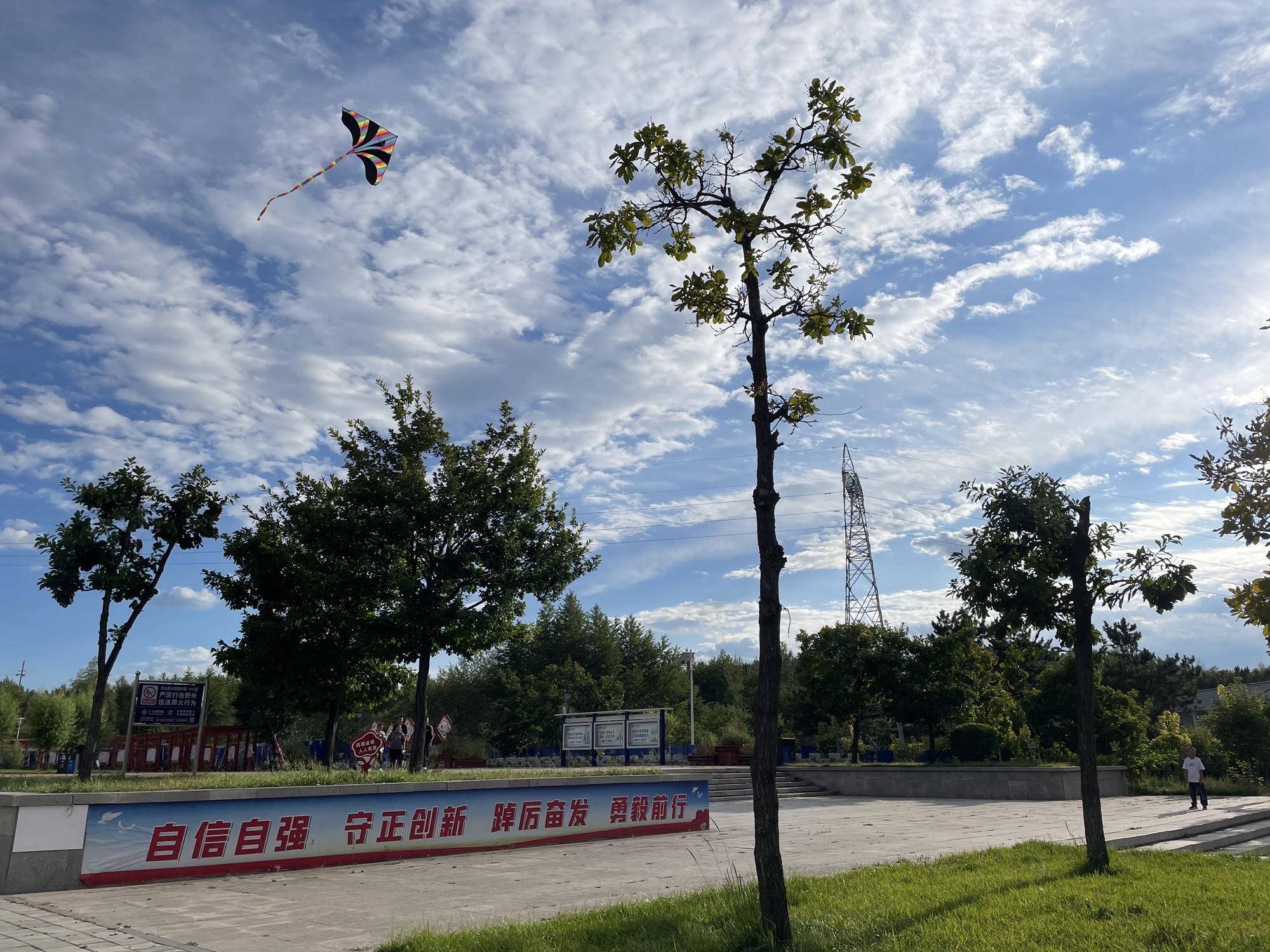 南山公园旅行图片 2