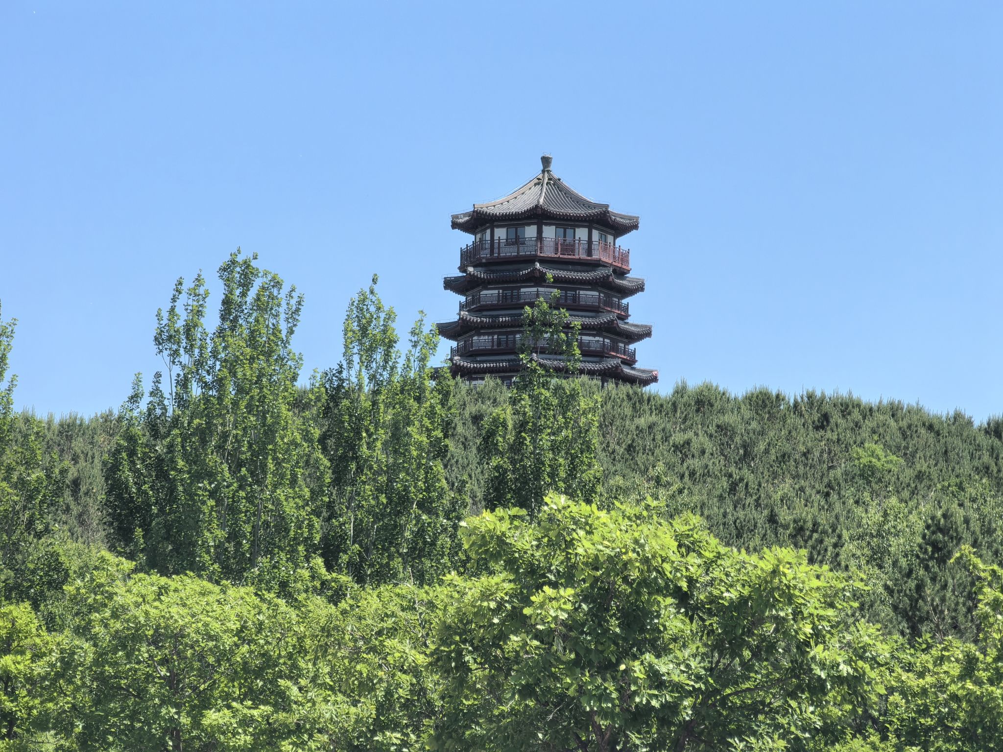 南山公园