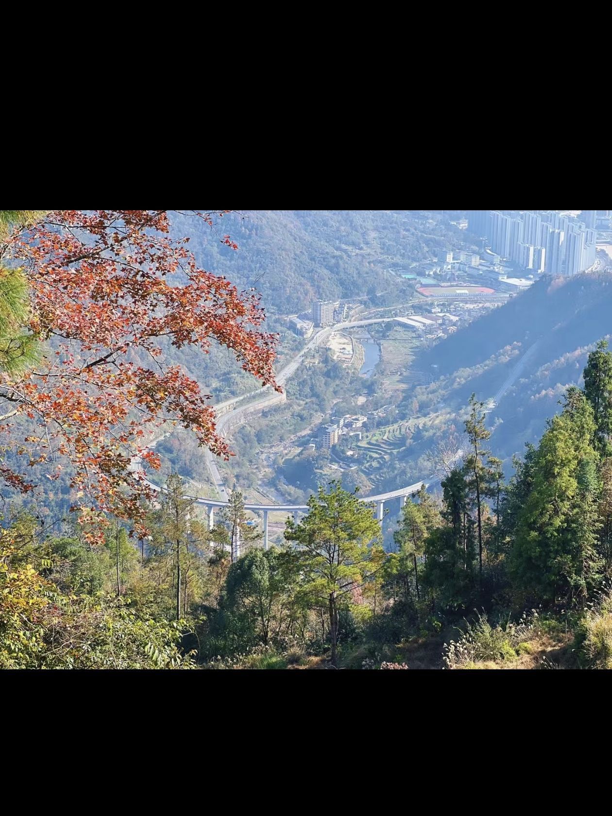 大会岭红枫古道旅行图片 1
