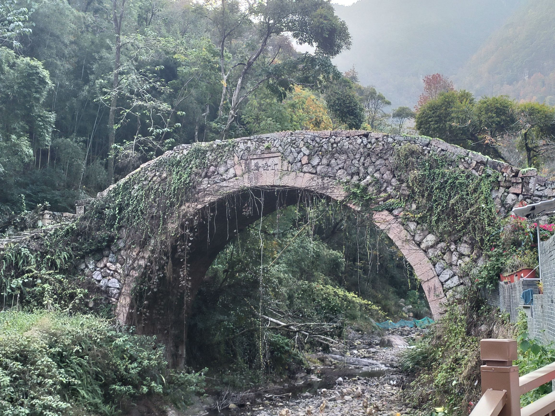 大会岭红枫古道旅行图片 1
