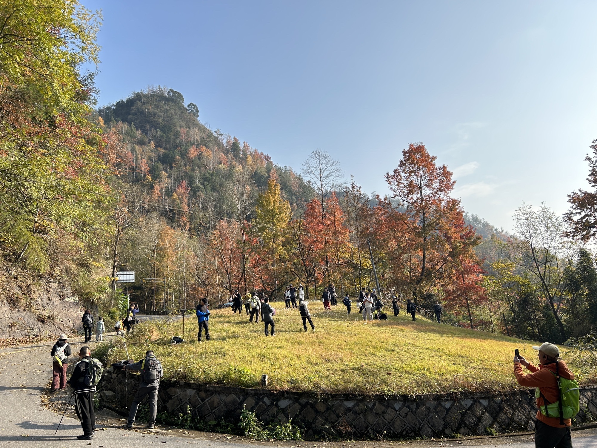 大会岭红枫古道旅行图片 1