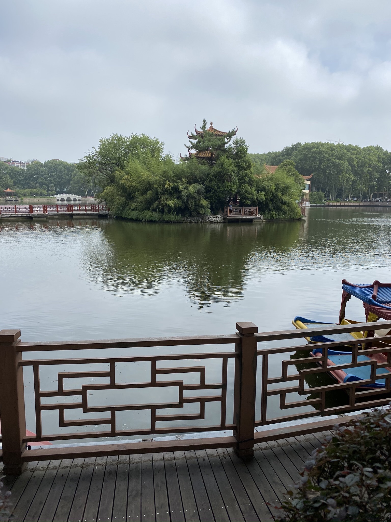 大塘公园旅行图片 1