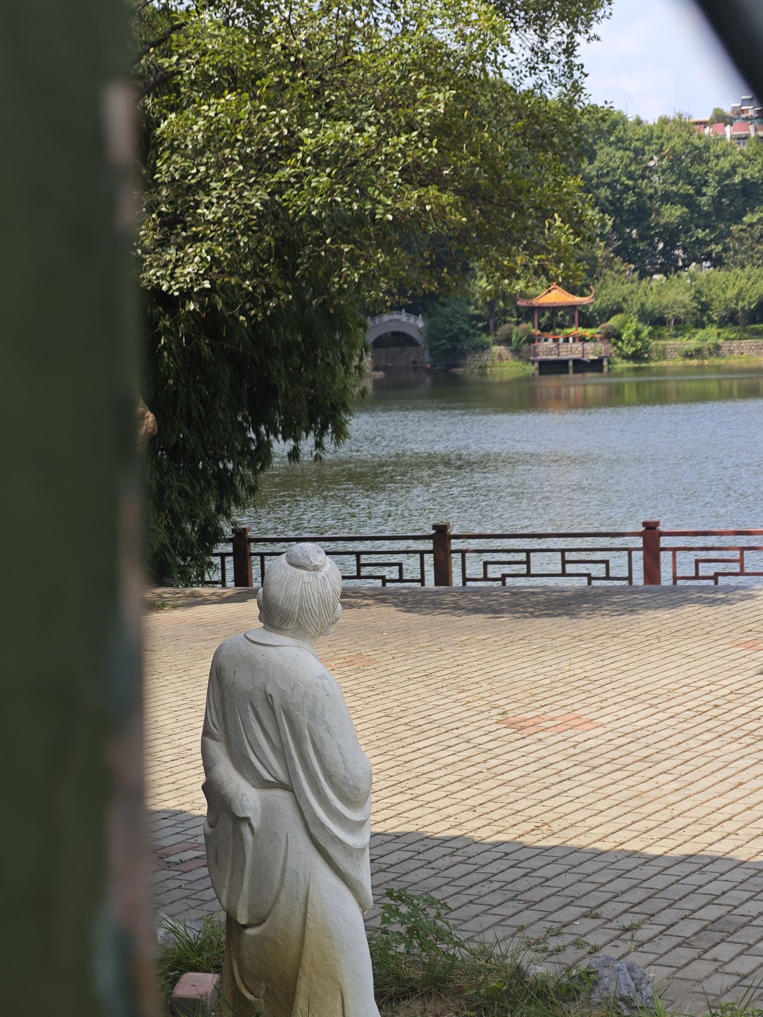大塘公园旅行图片 3