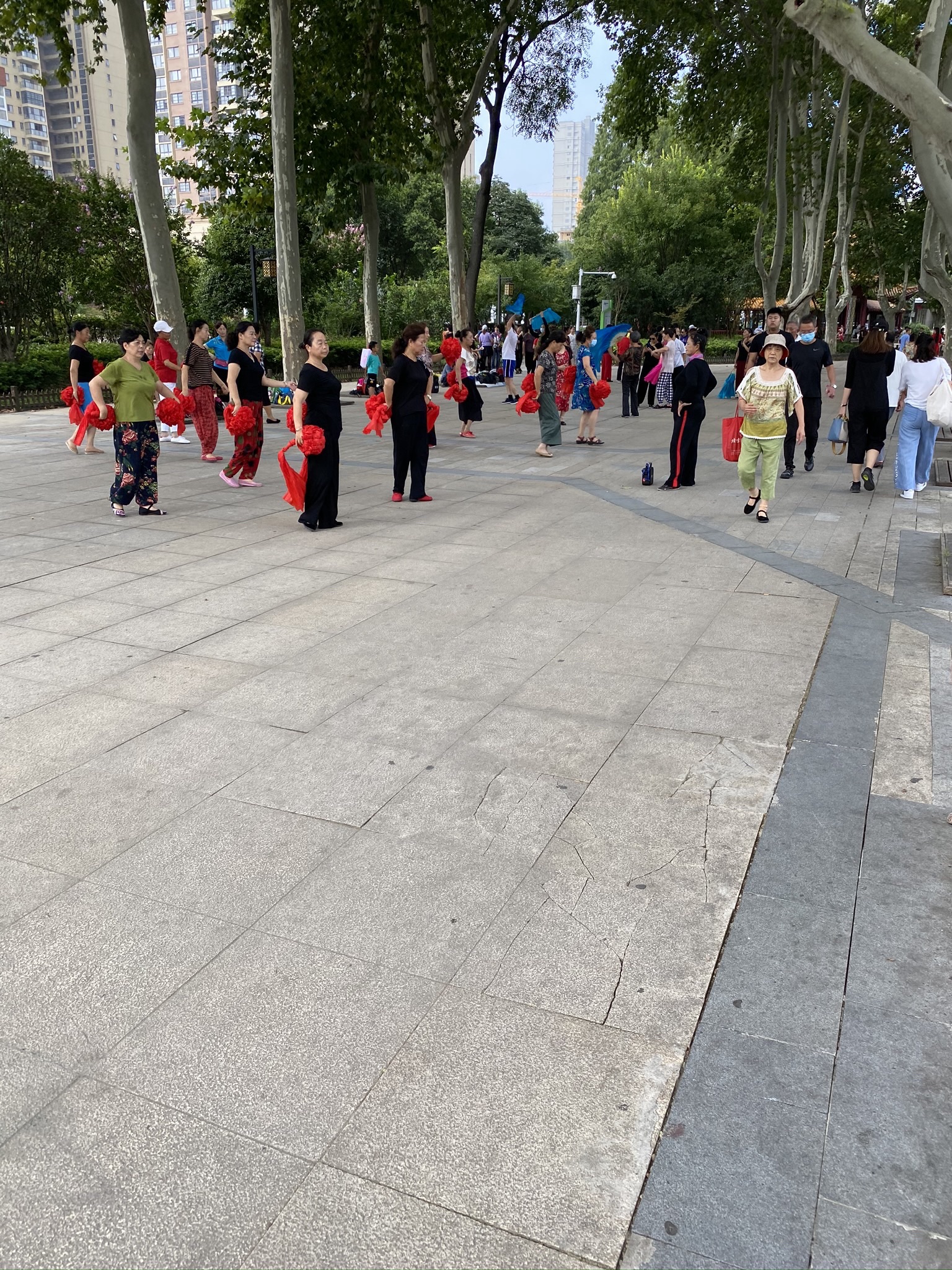 大塘公园旅行图片 2