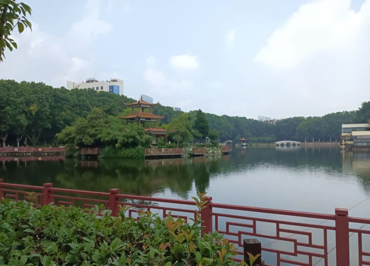 大塘公园旅行图片 2