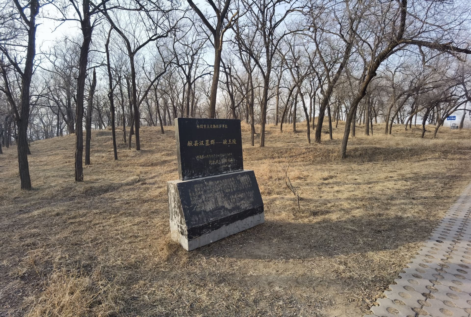 汉墓群旅行图片 1