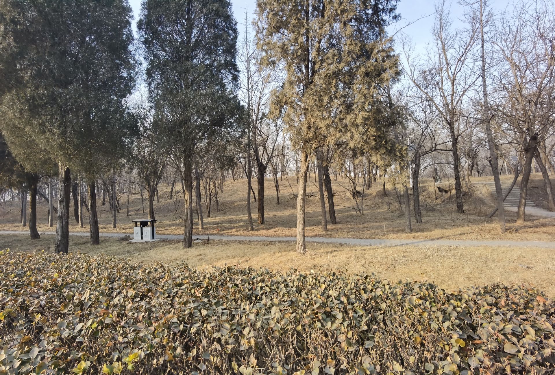 汉墓群旅行图片 2