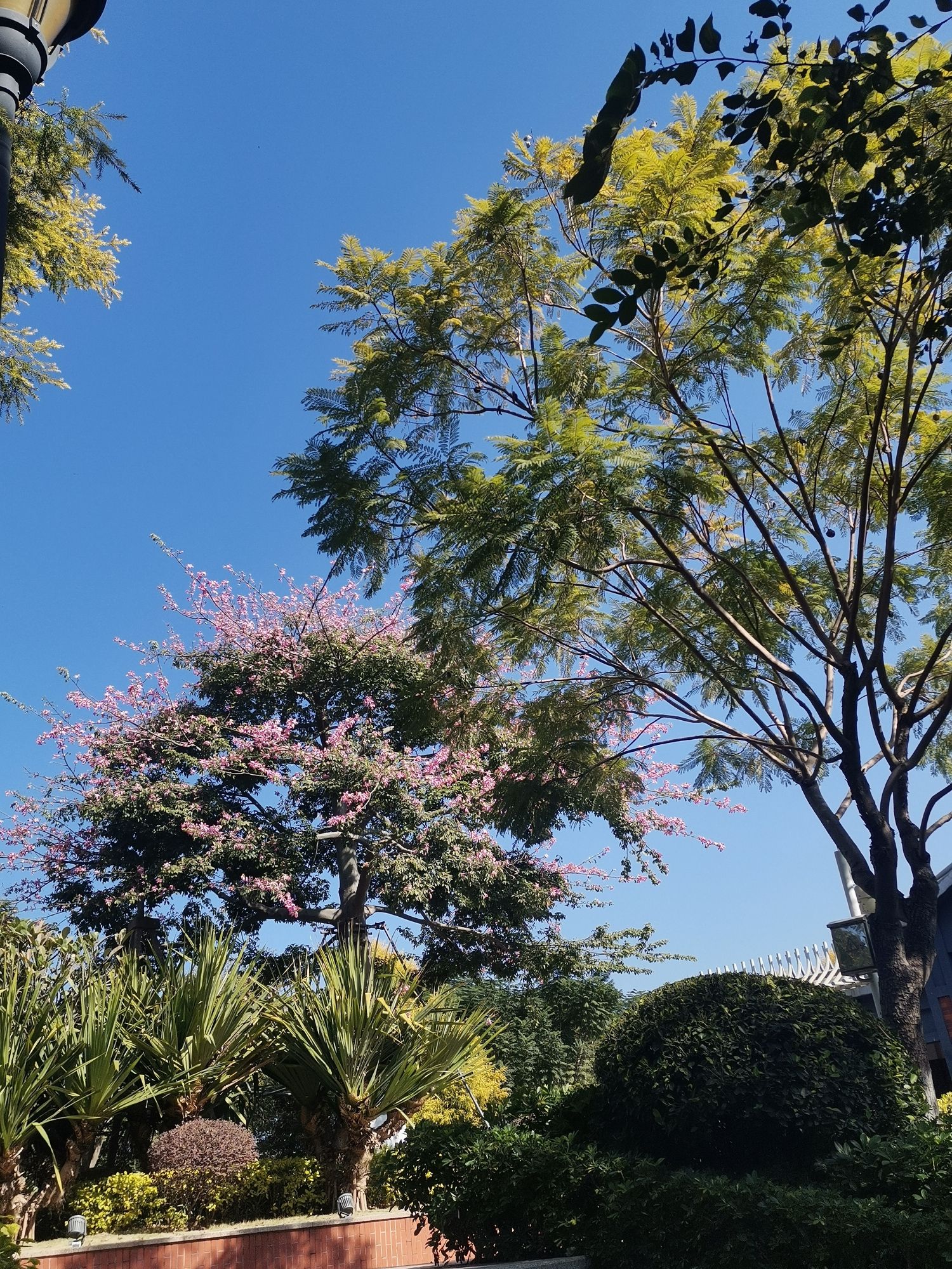 薛岭山公园旅行图片 3