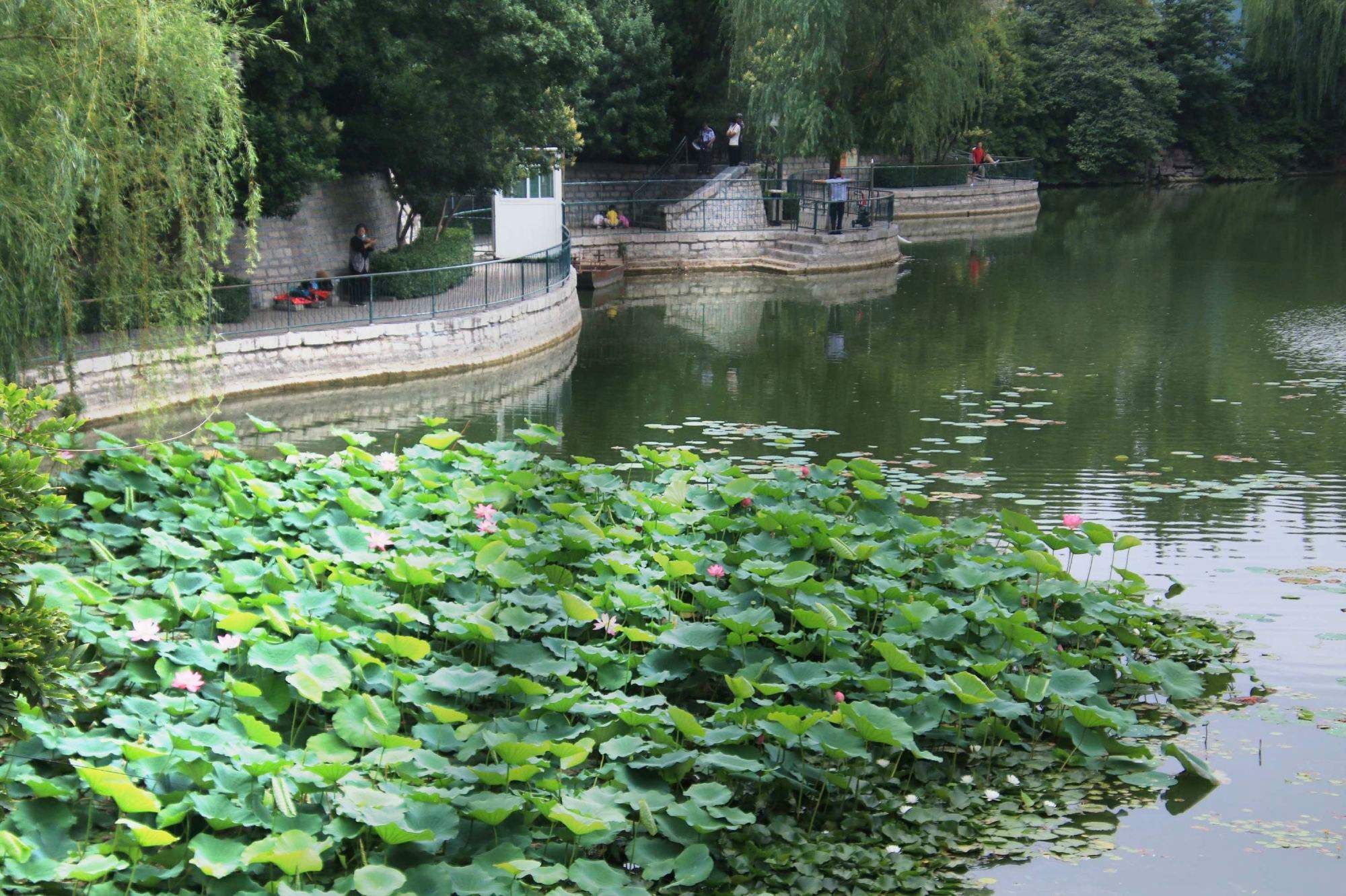 无影潭公园旅行图片 3