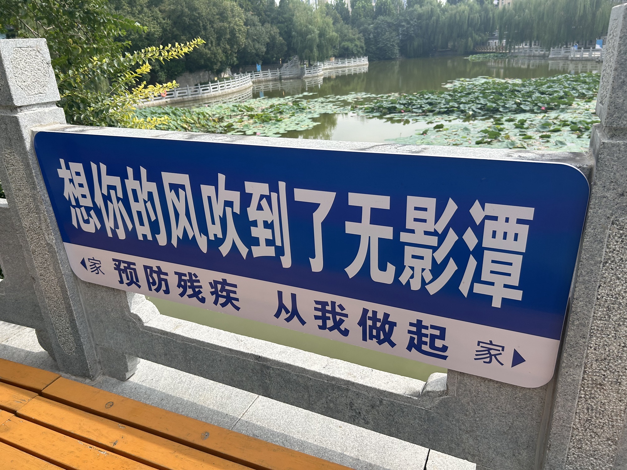 无影潭公园旅行图片 2