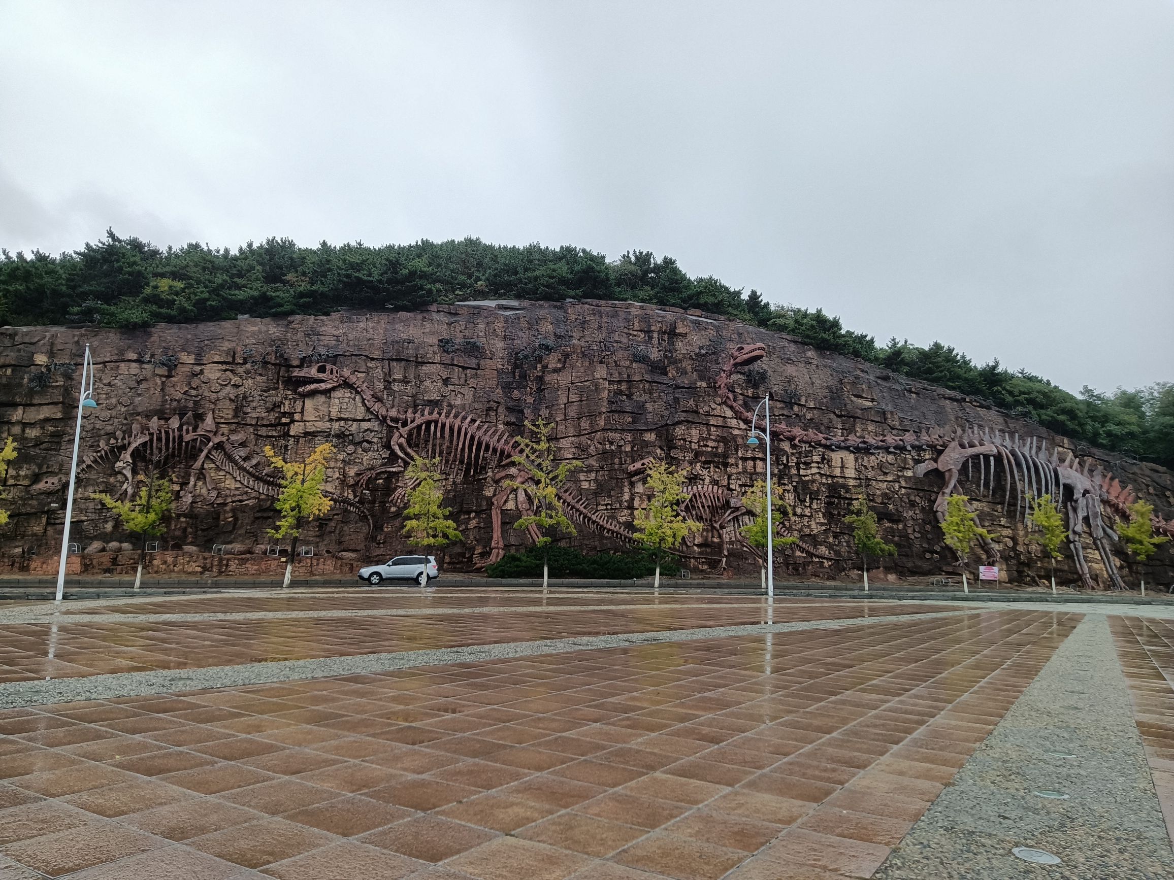 九龙壁滁骼旅行图片 3