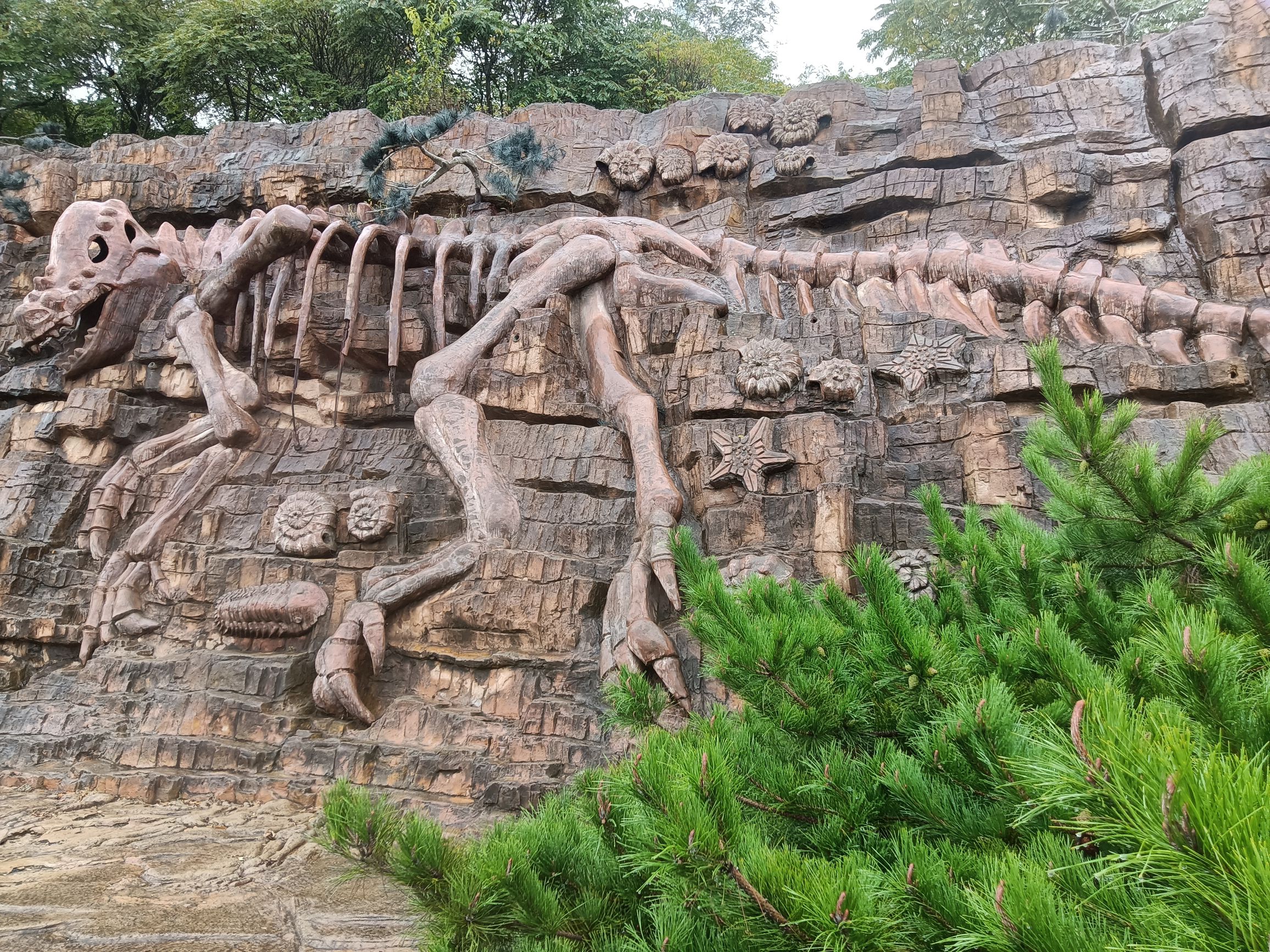 九龙壁滁骼旅行图片 1