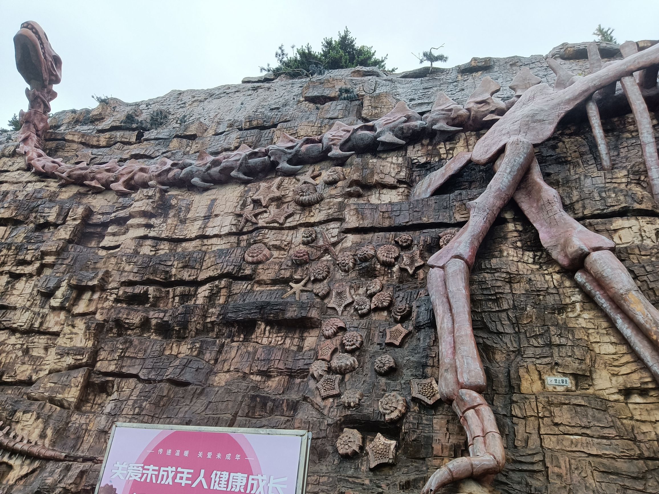 九龙壁滁骼旅行图片 2