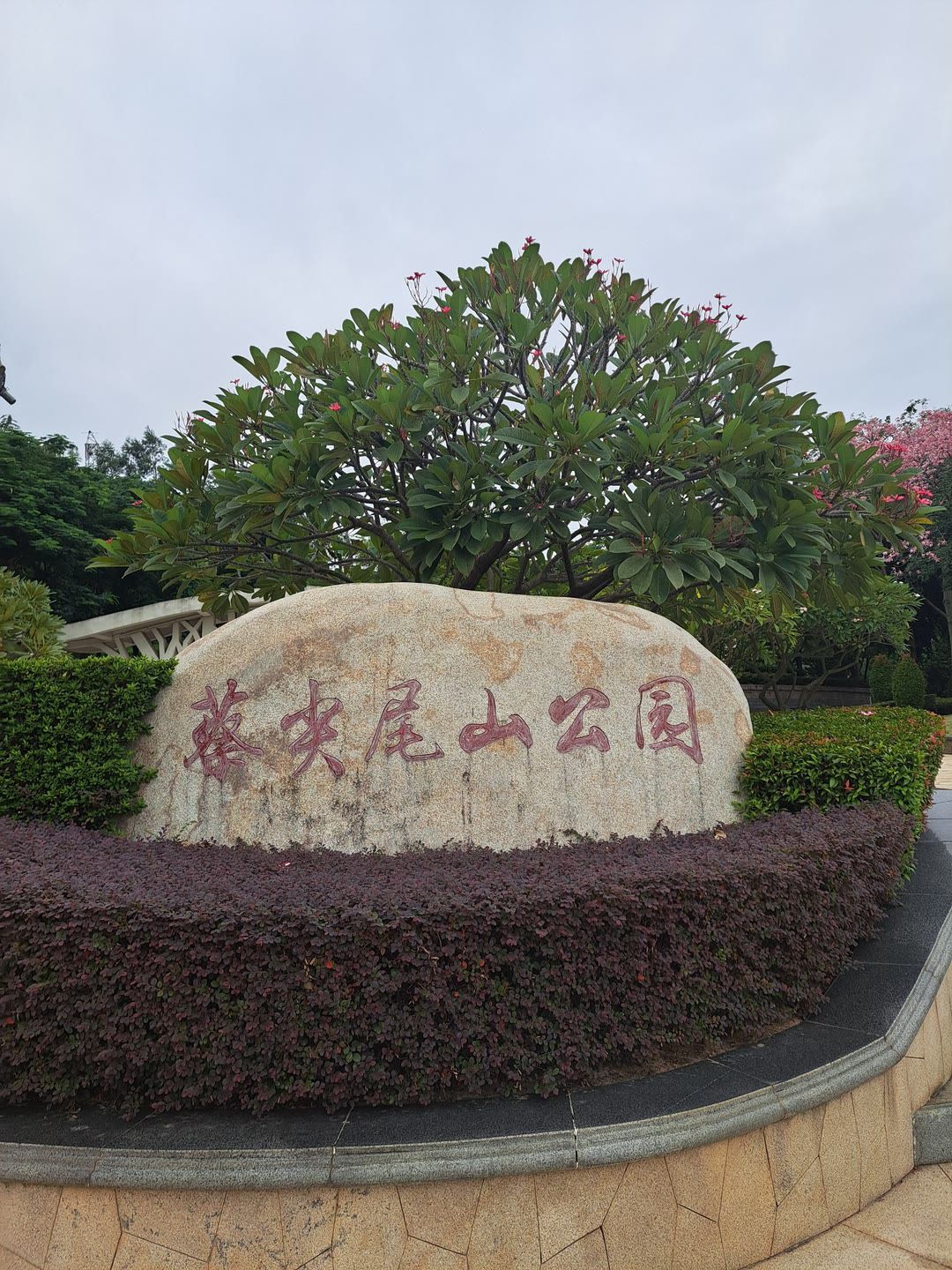 蔡尖尾山公园旅行图片 1