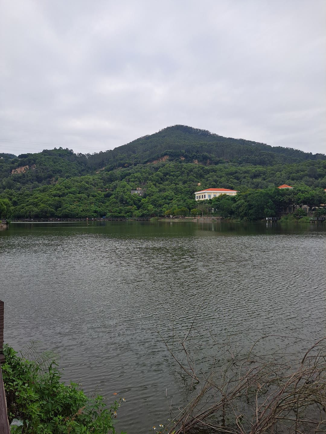蔡尖尾山公园旅行图片 2
