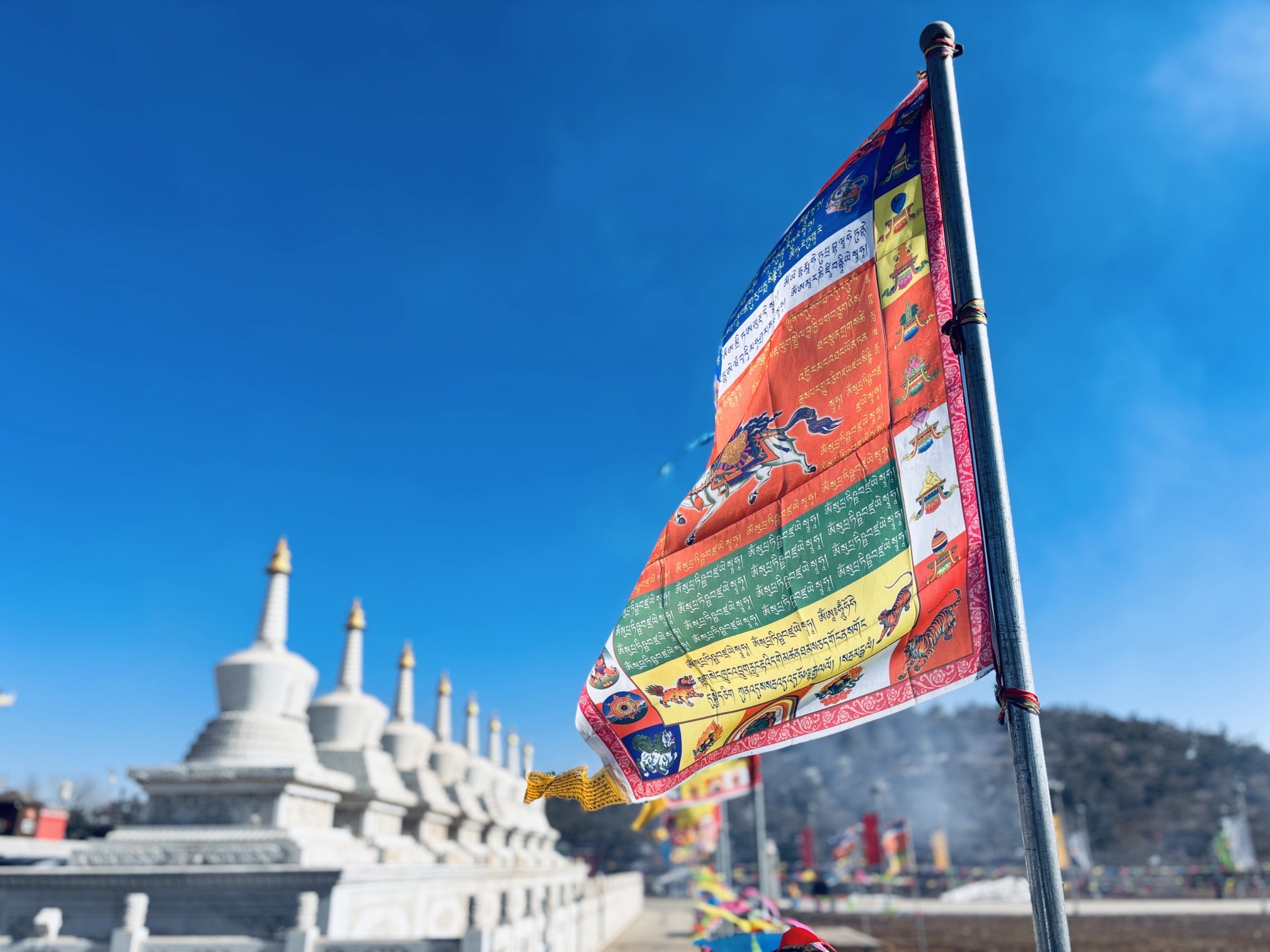 油松王旅游区旅行图片 1