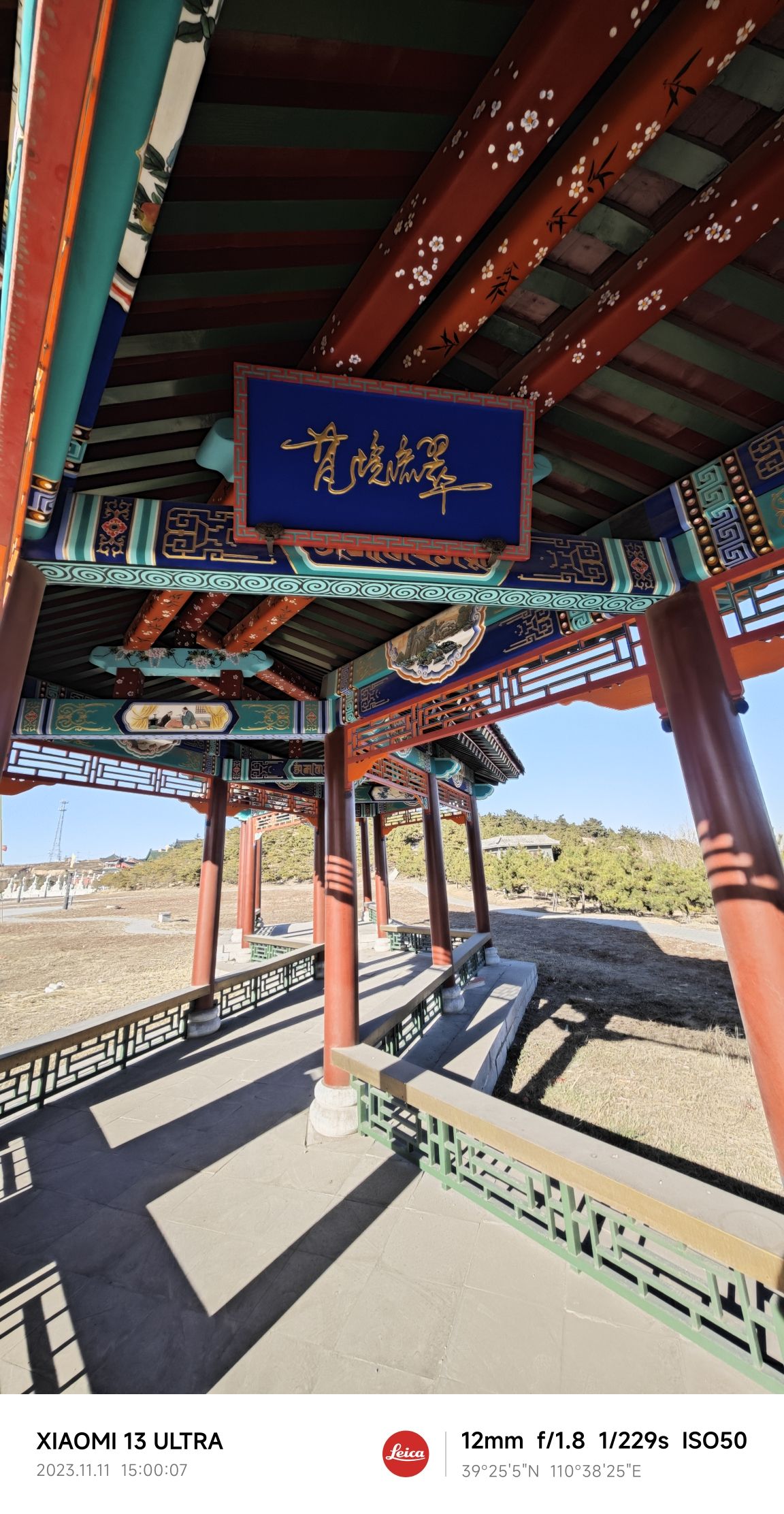 油松王旅游区旅行图片 2