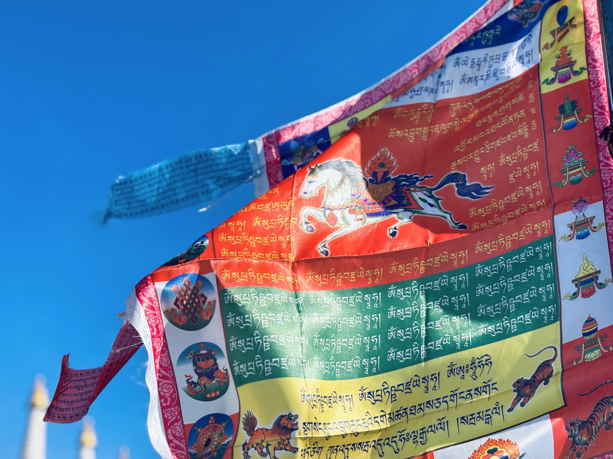 油松王旅游区旅行图片 2