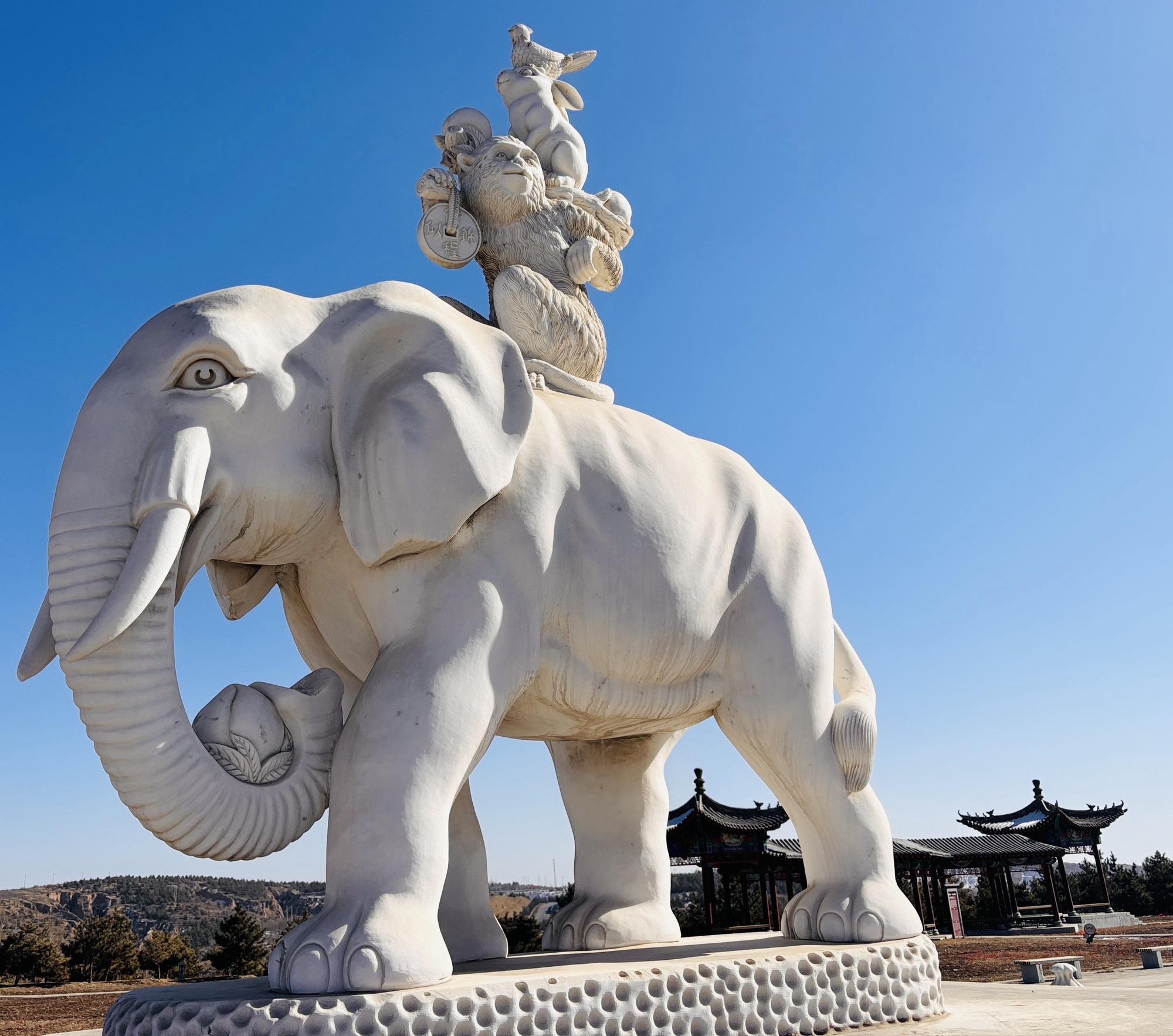 油松王旅游区旅行图片 3