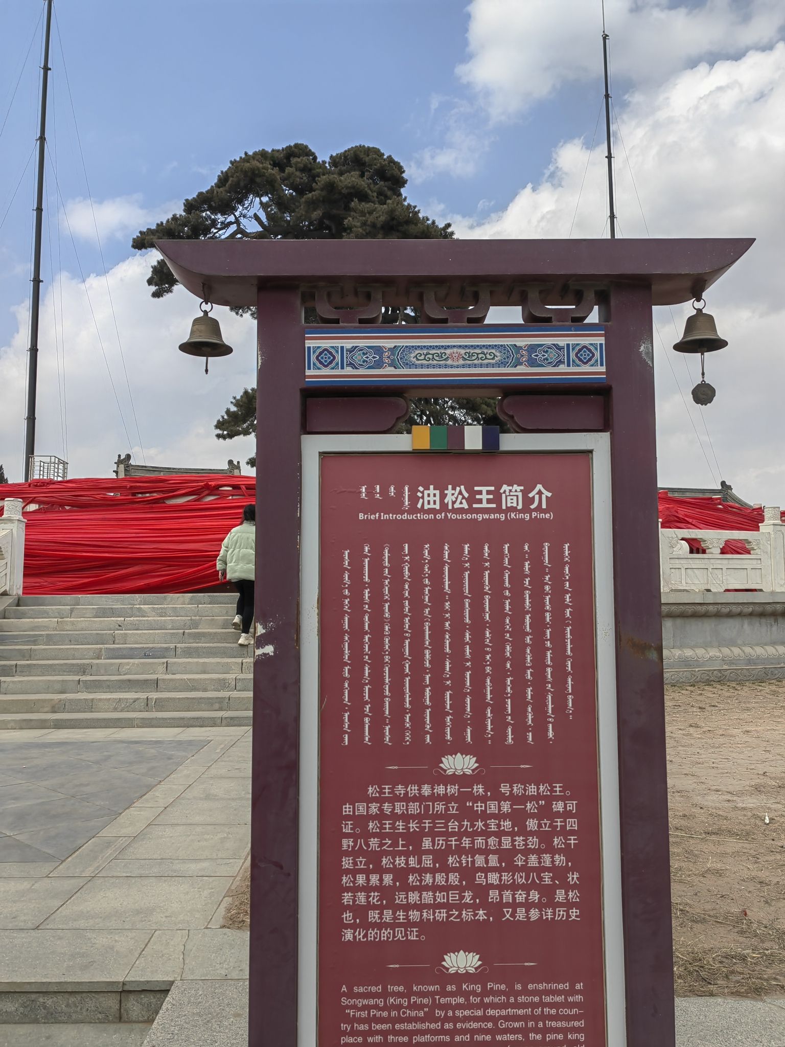 油松王旅游区旅行图片 1