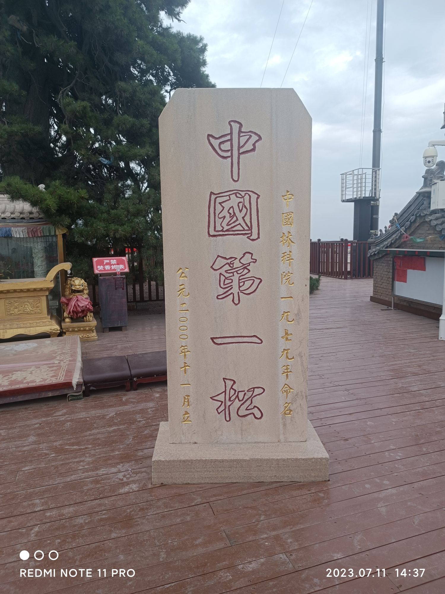 油松王旅游区旅行图片 1