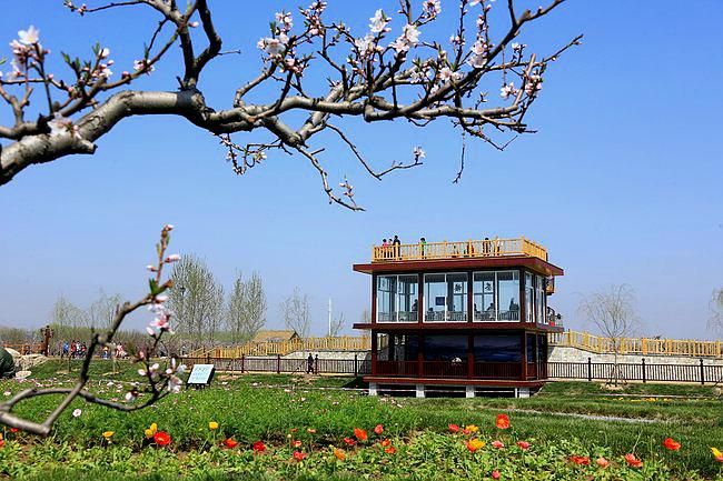 津溪桃源旅行图片 2