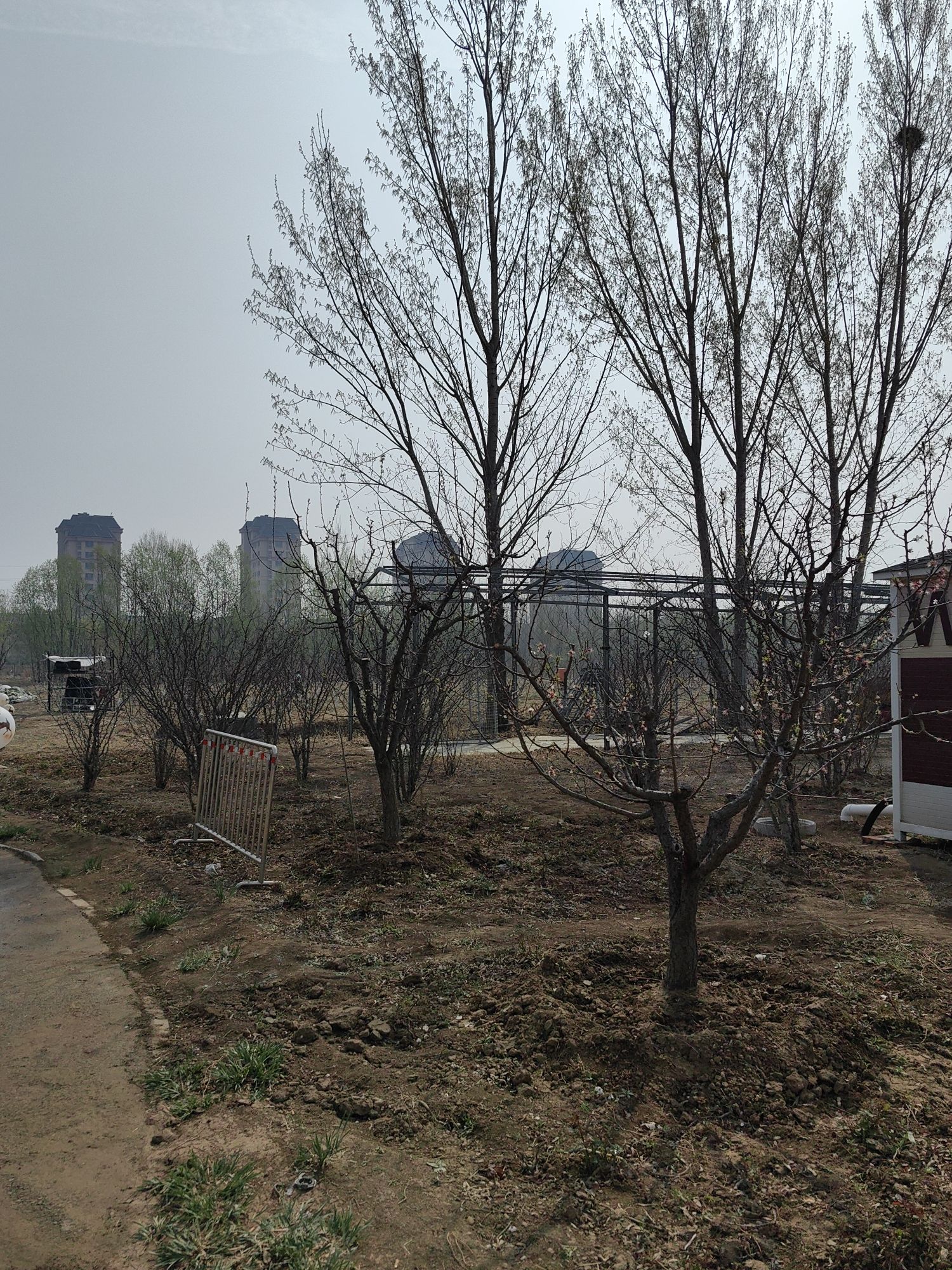 津溪桃源旅行图片 3