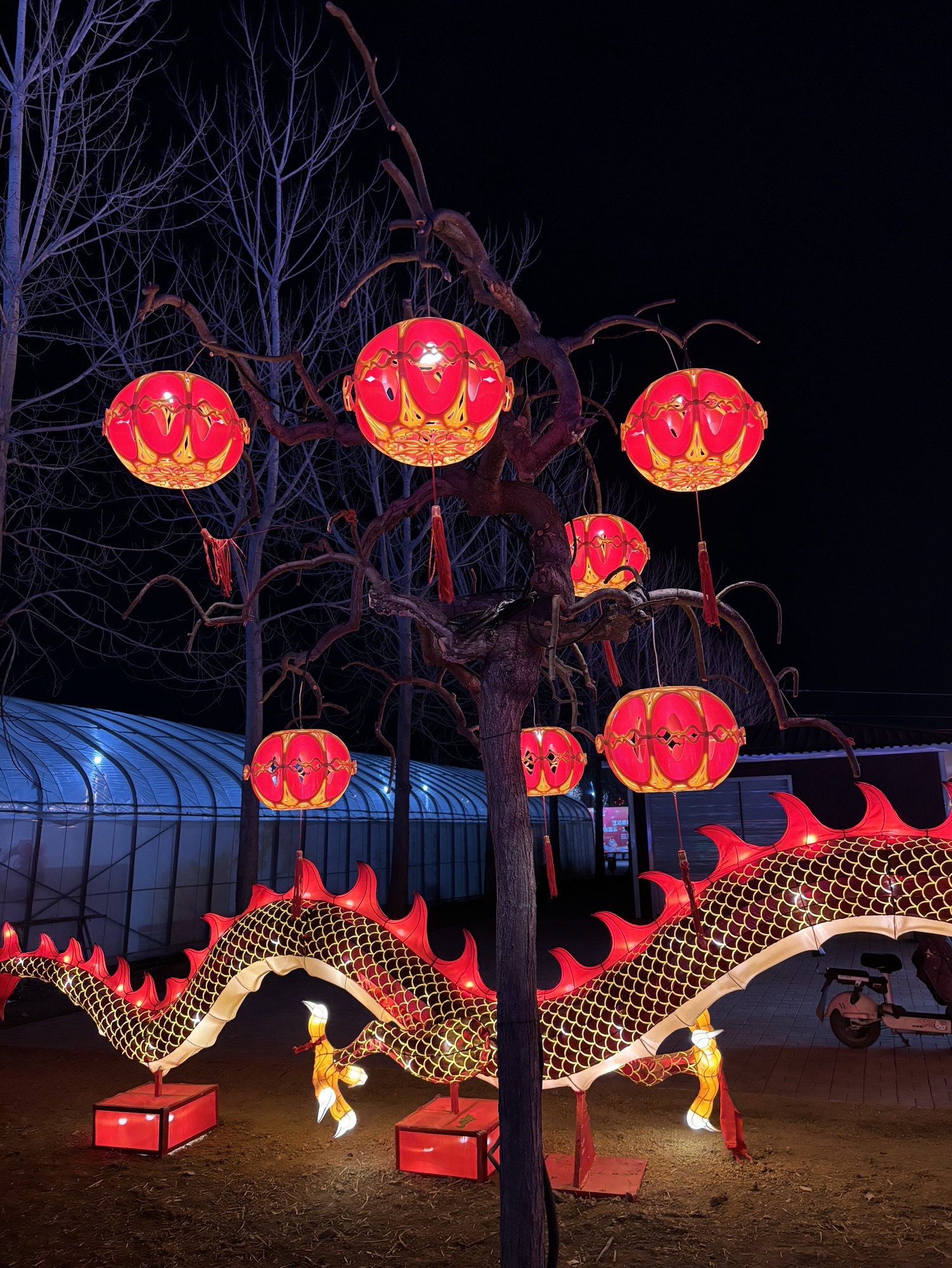 津溪桃源旅行图片 3
