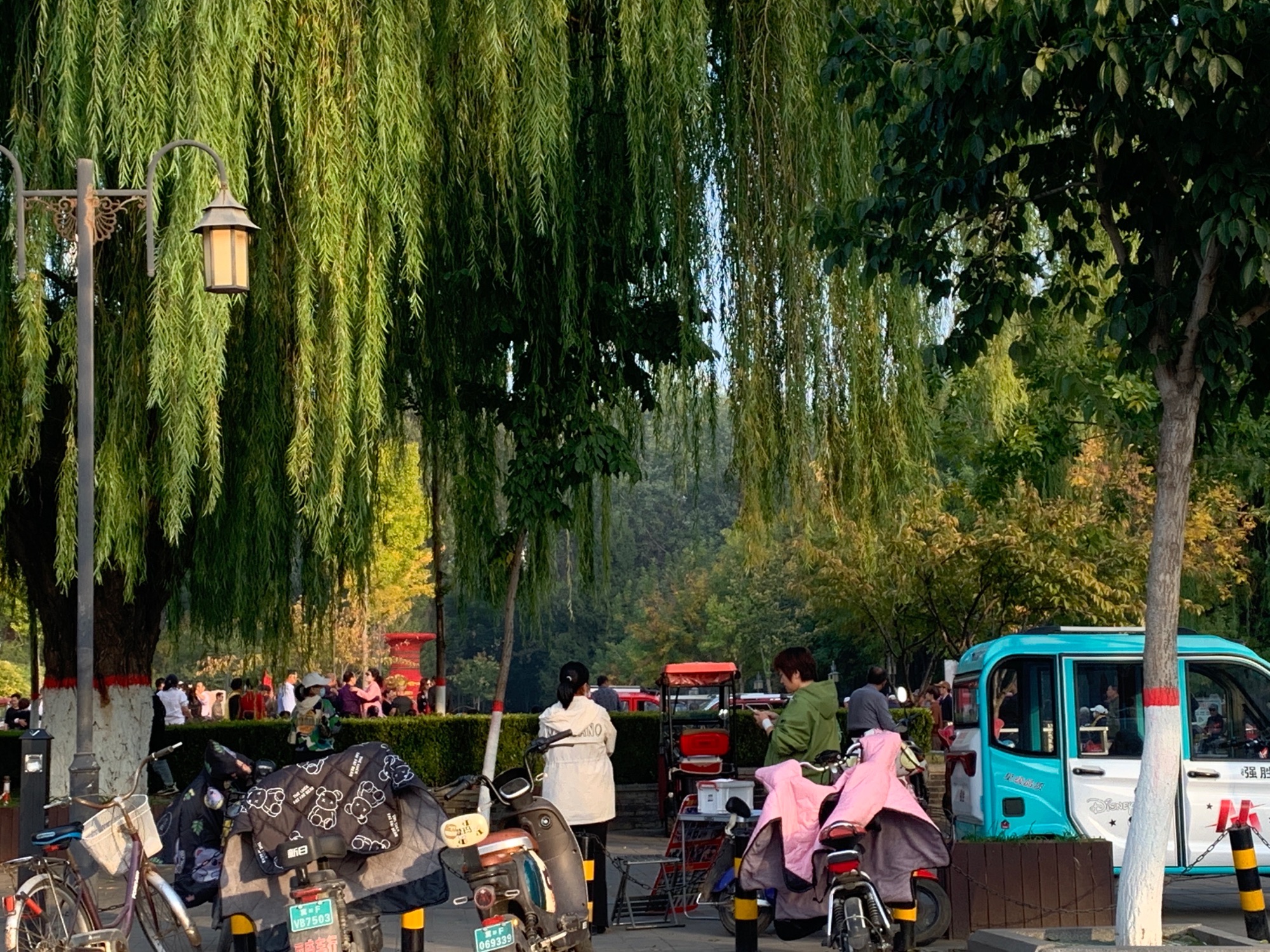 范阳公园旅行图片 3