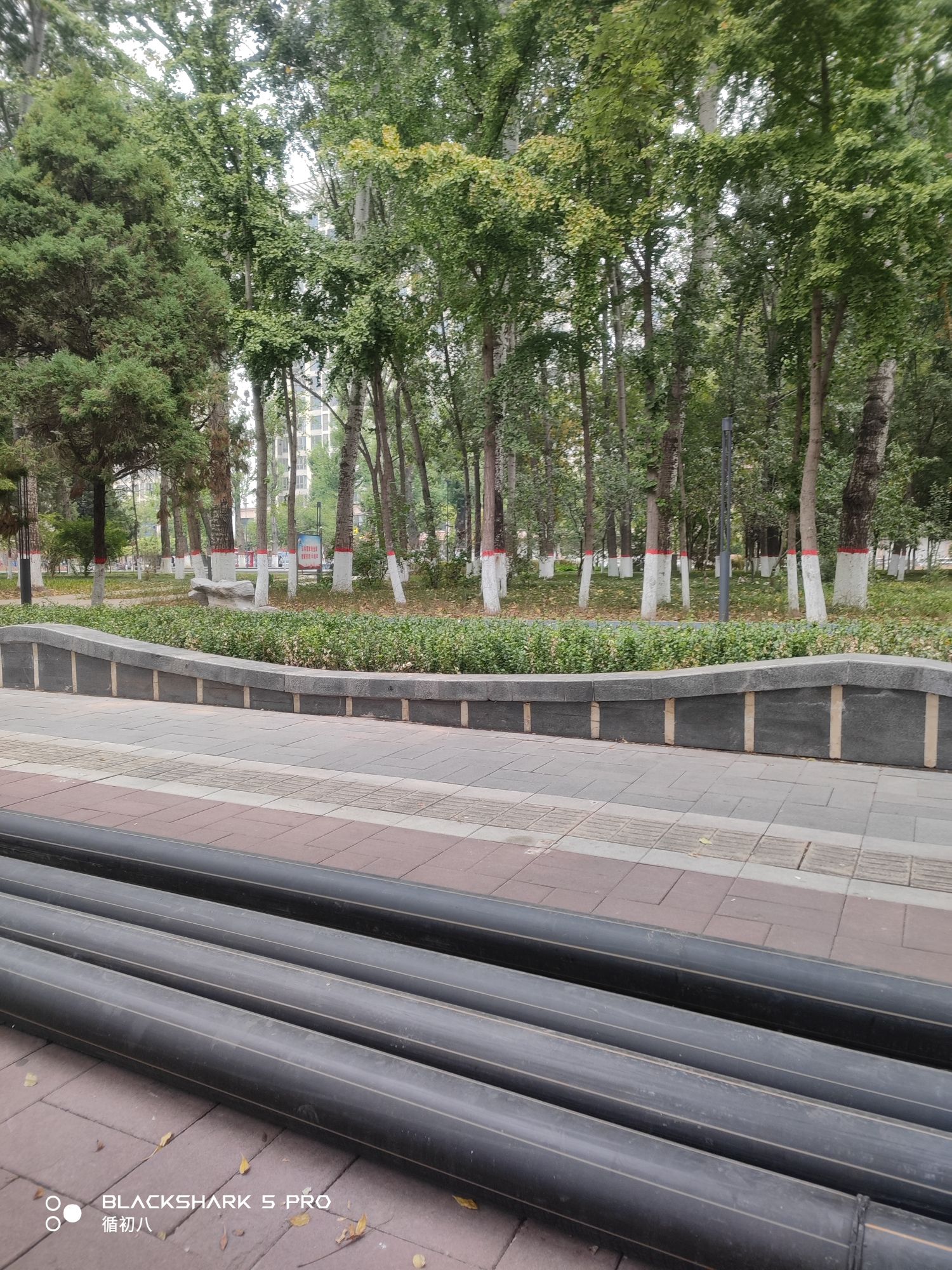 范阳公园旅行图片 1