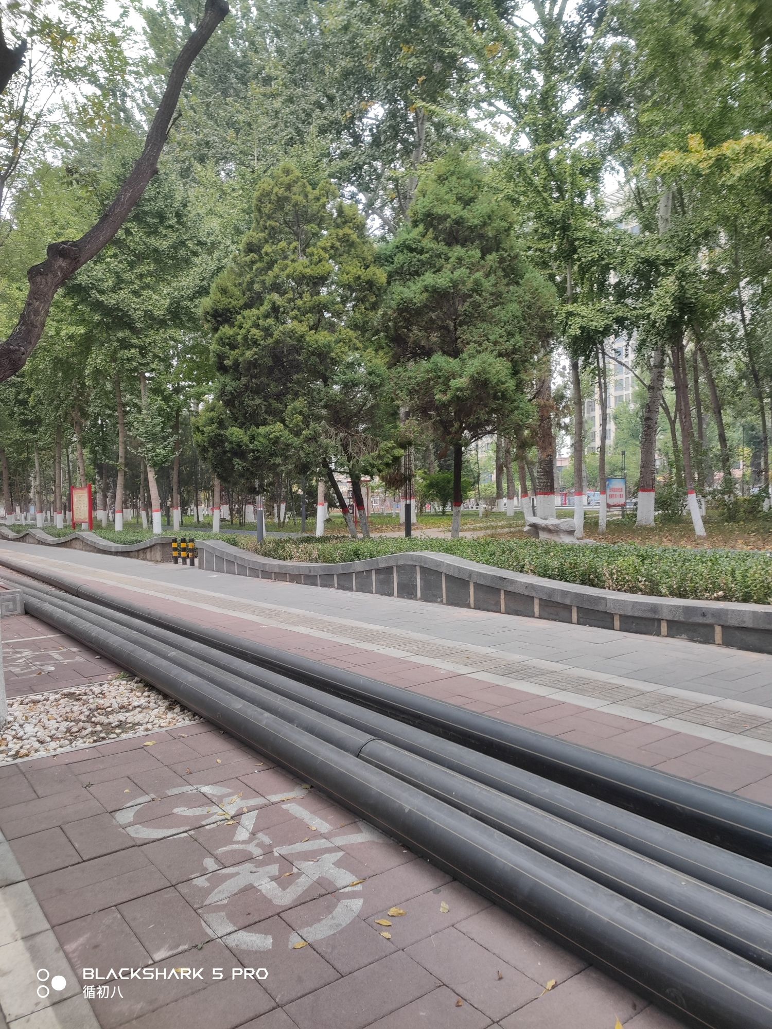 范阳公园旅行图片 2