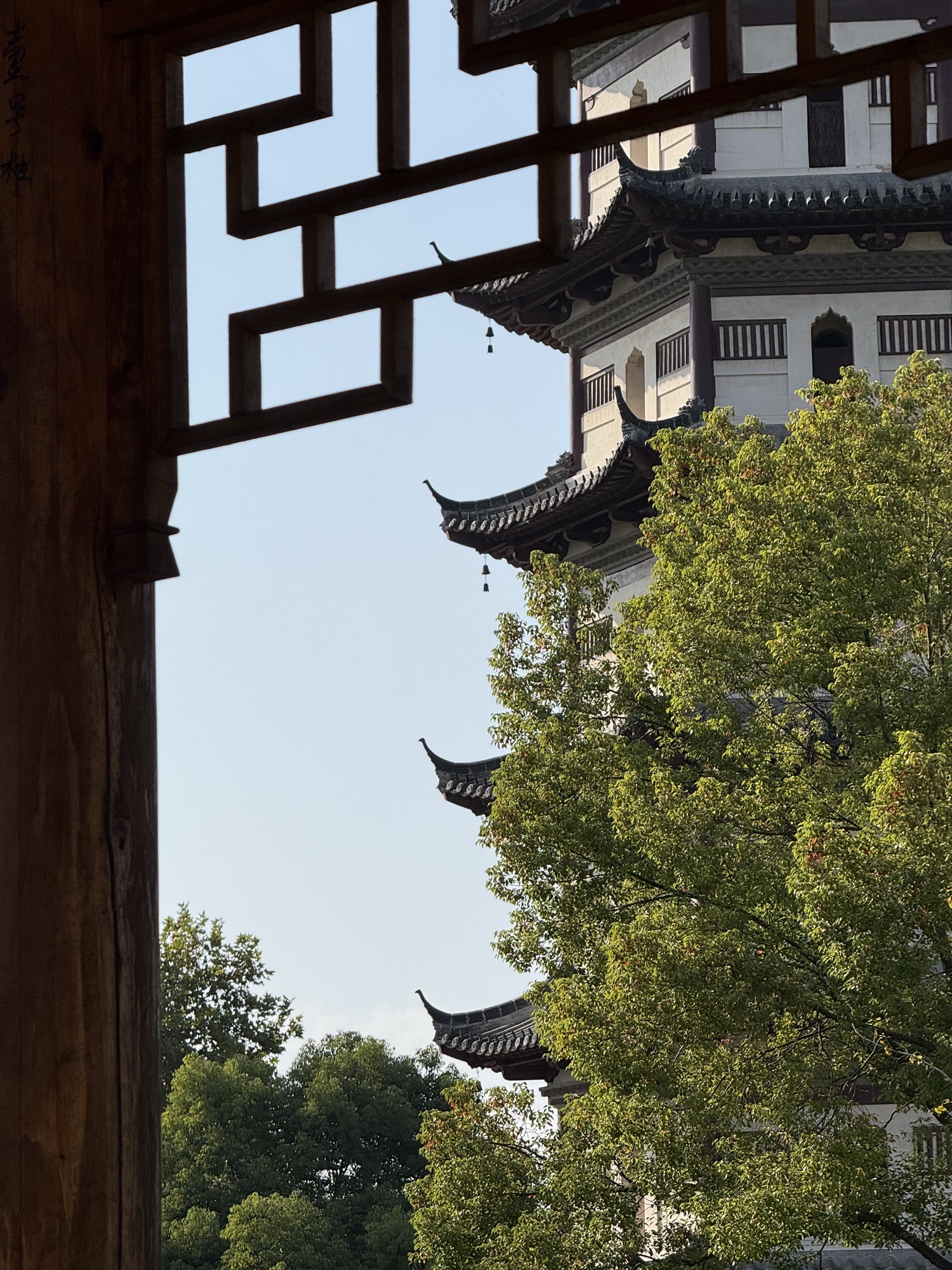 天寿寺塔旅行图片 2