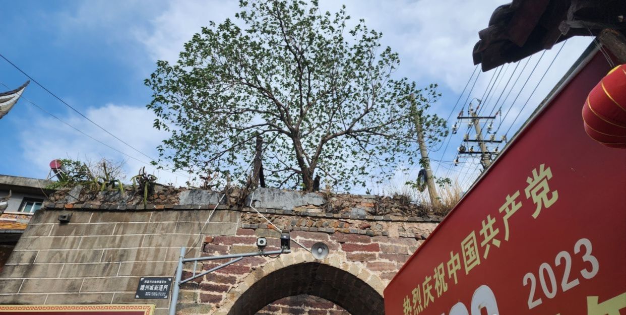 礼州古镇旅行图片 1
