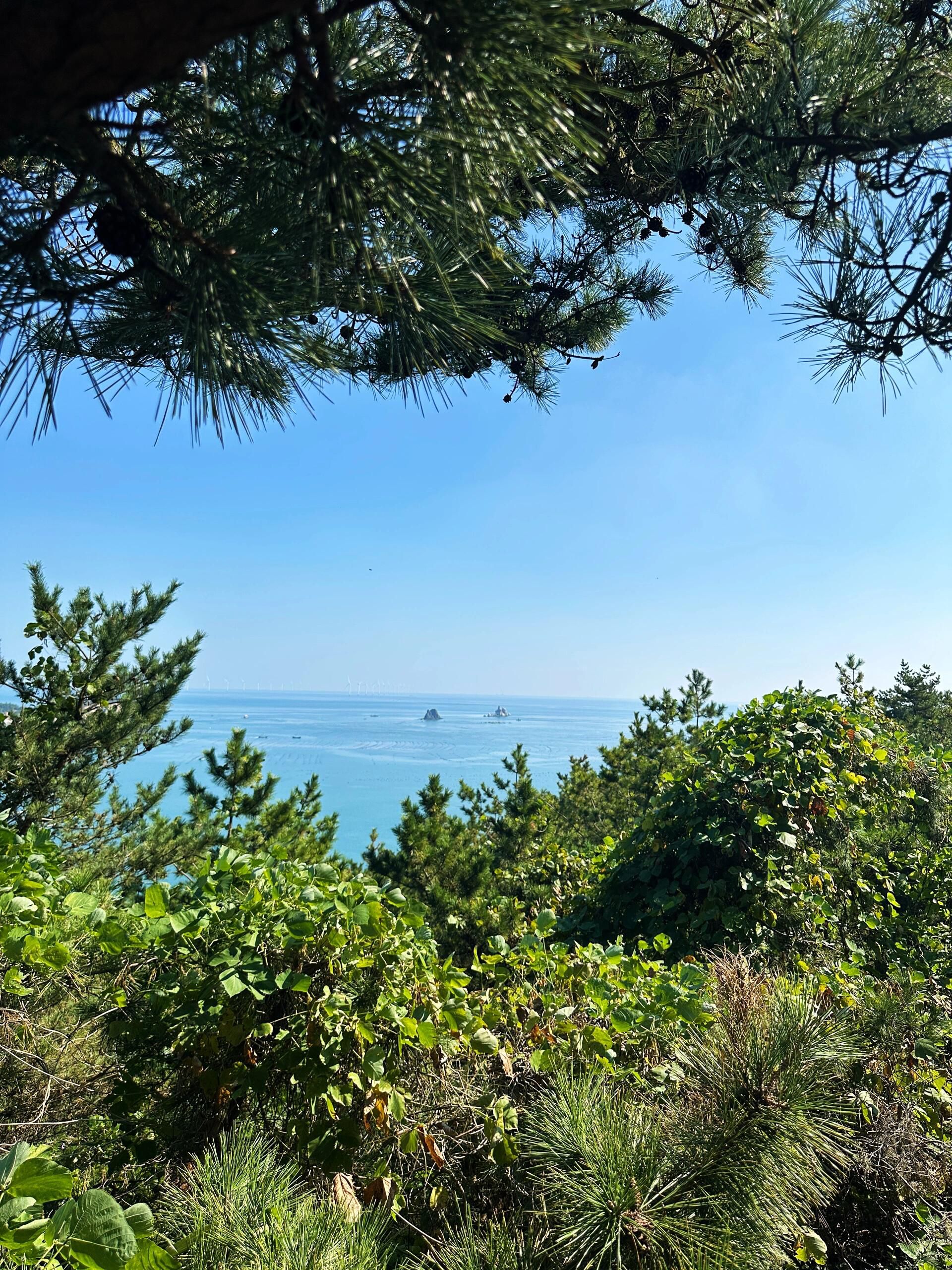 海王九岛旅行图片 3