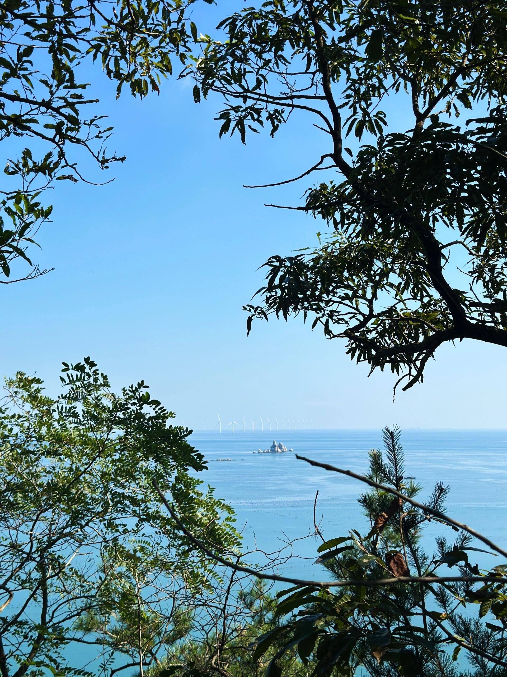 海王九岛旅行图片 2