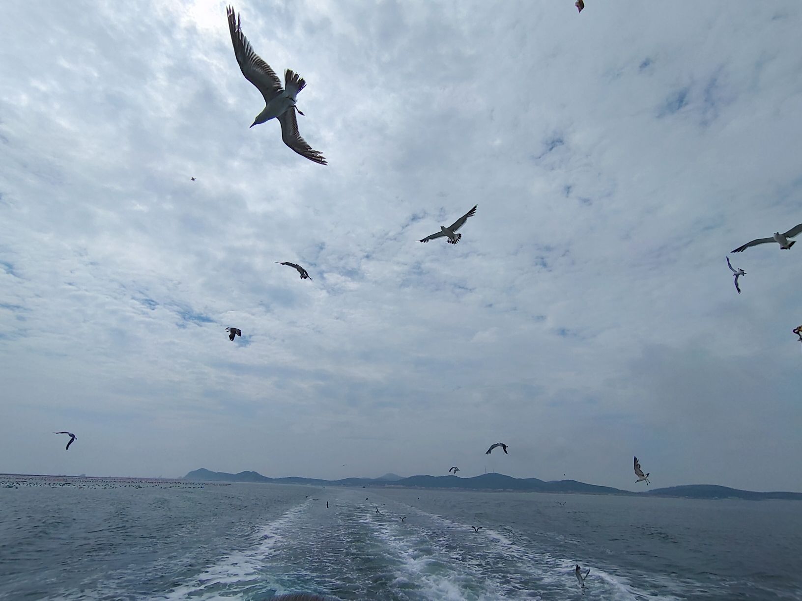 海王九岛旅行图片 2