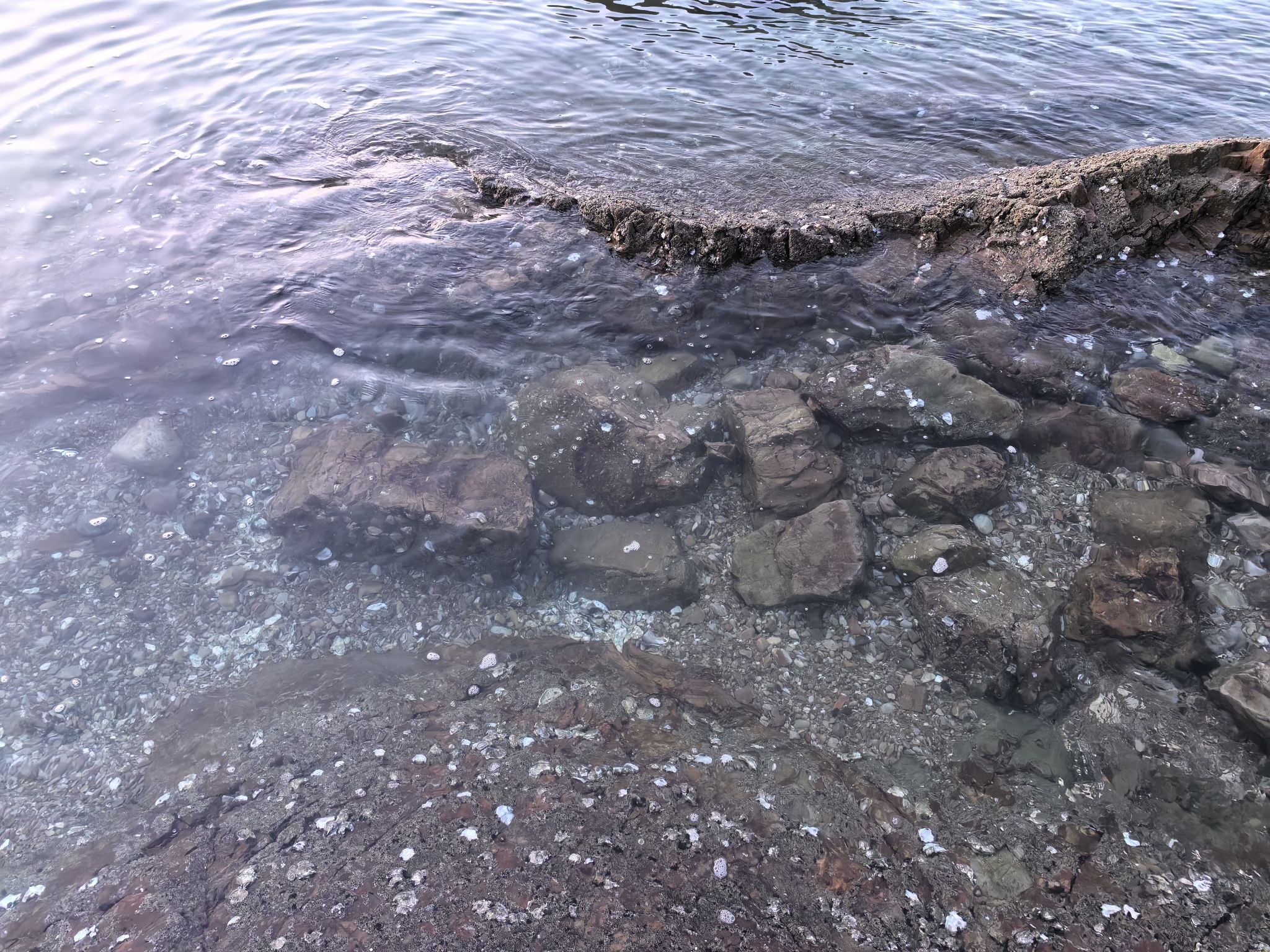 海王九岛旅行图片 3